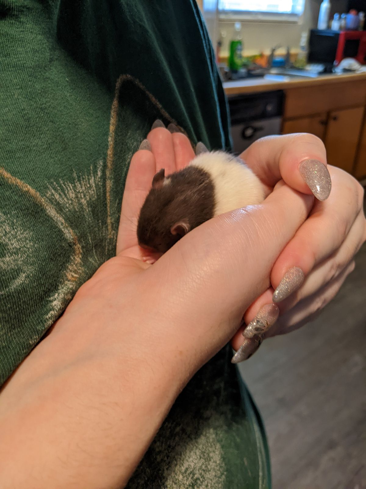 user avatar image for Zai