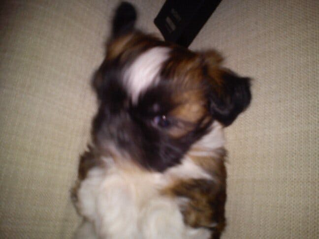 user avatar image for Jonathas