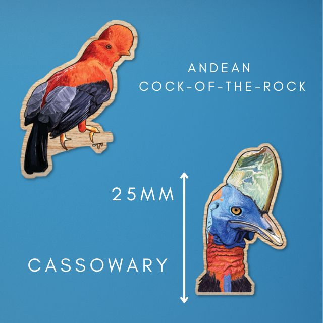 25mm mini wooden pin mock ups made of illustrations of a male andean cock-of-the-rock and a cassowary bird