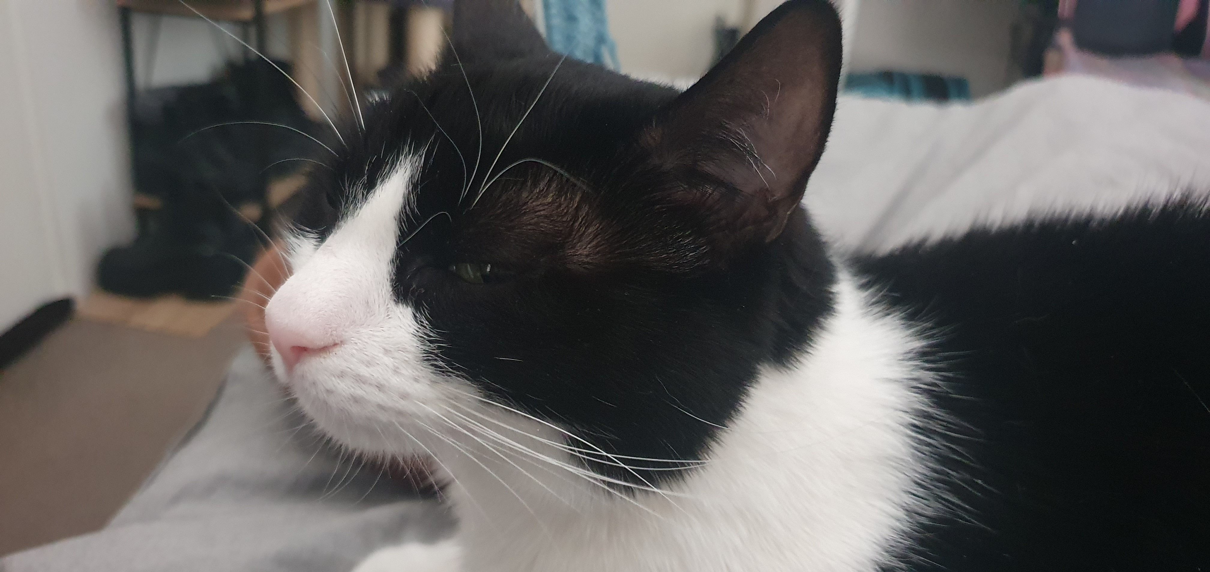 user avatar image for Jess