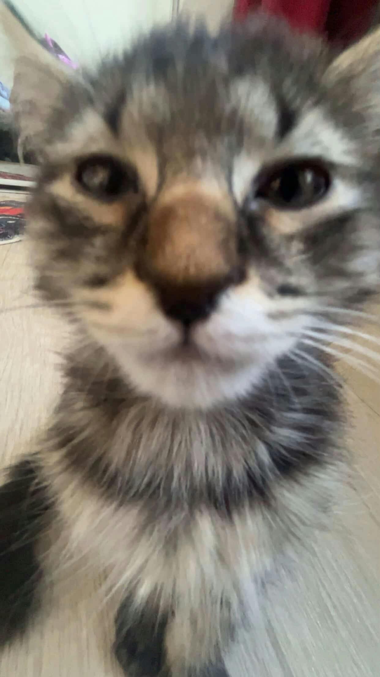 user avatar image for ryan t.