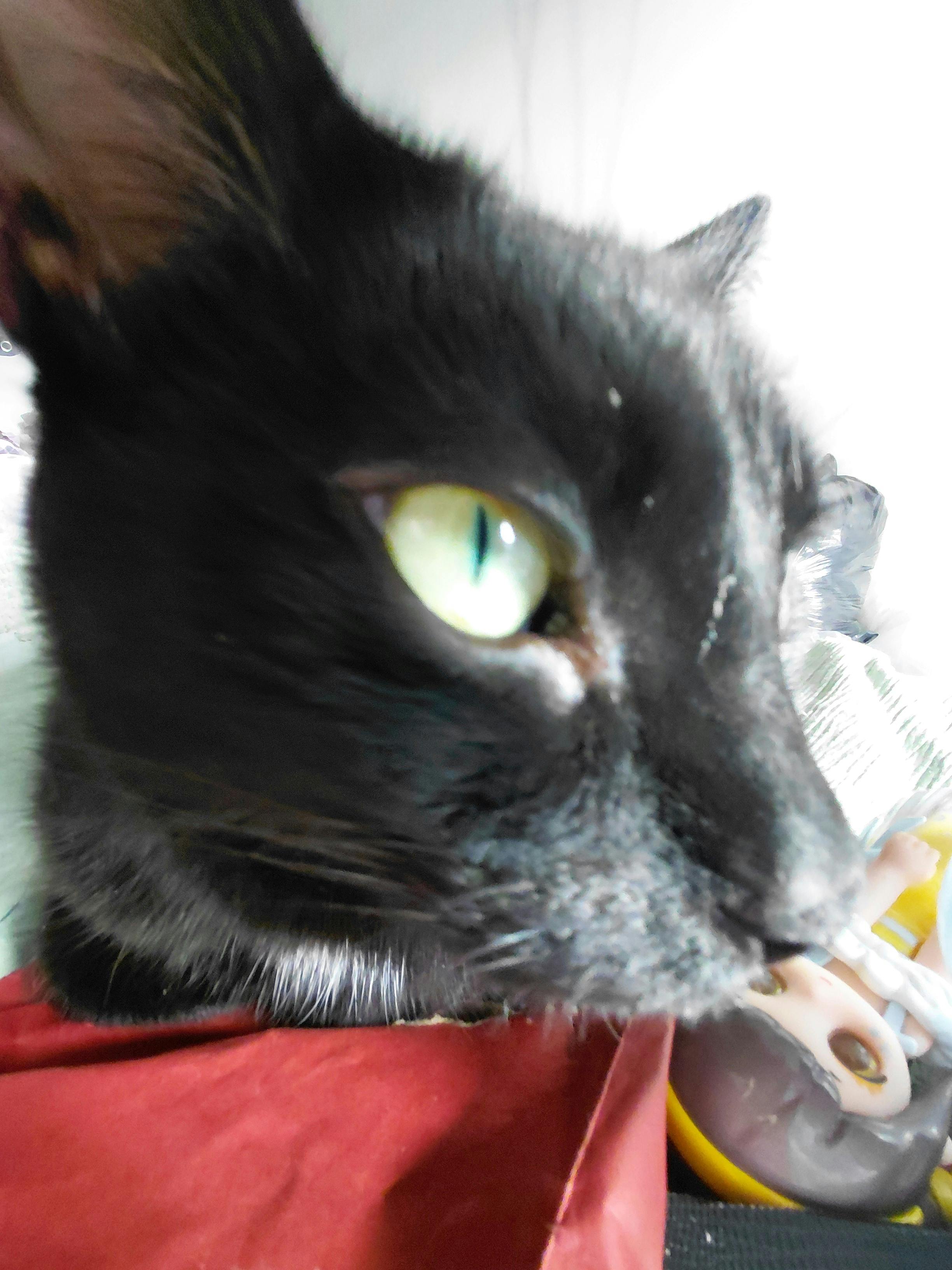 user avatar image for Bailey