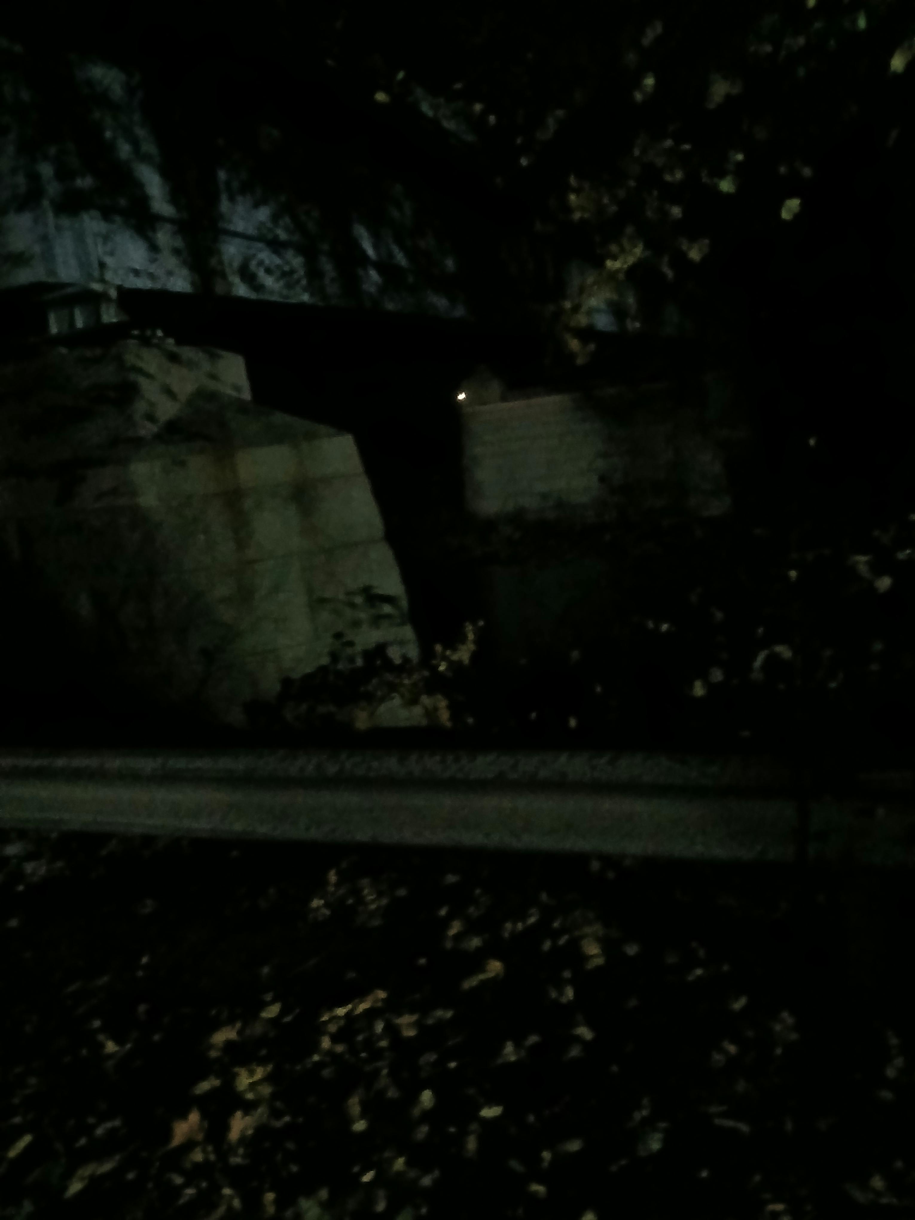 user avatar image for Harley 