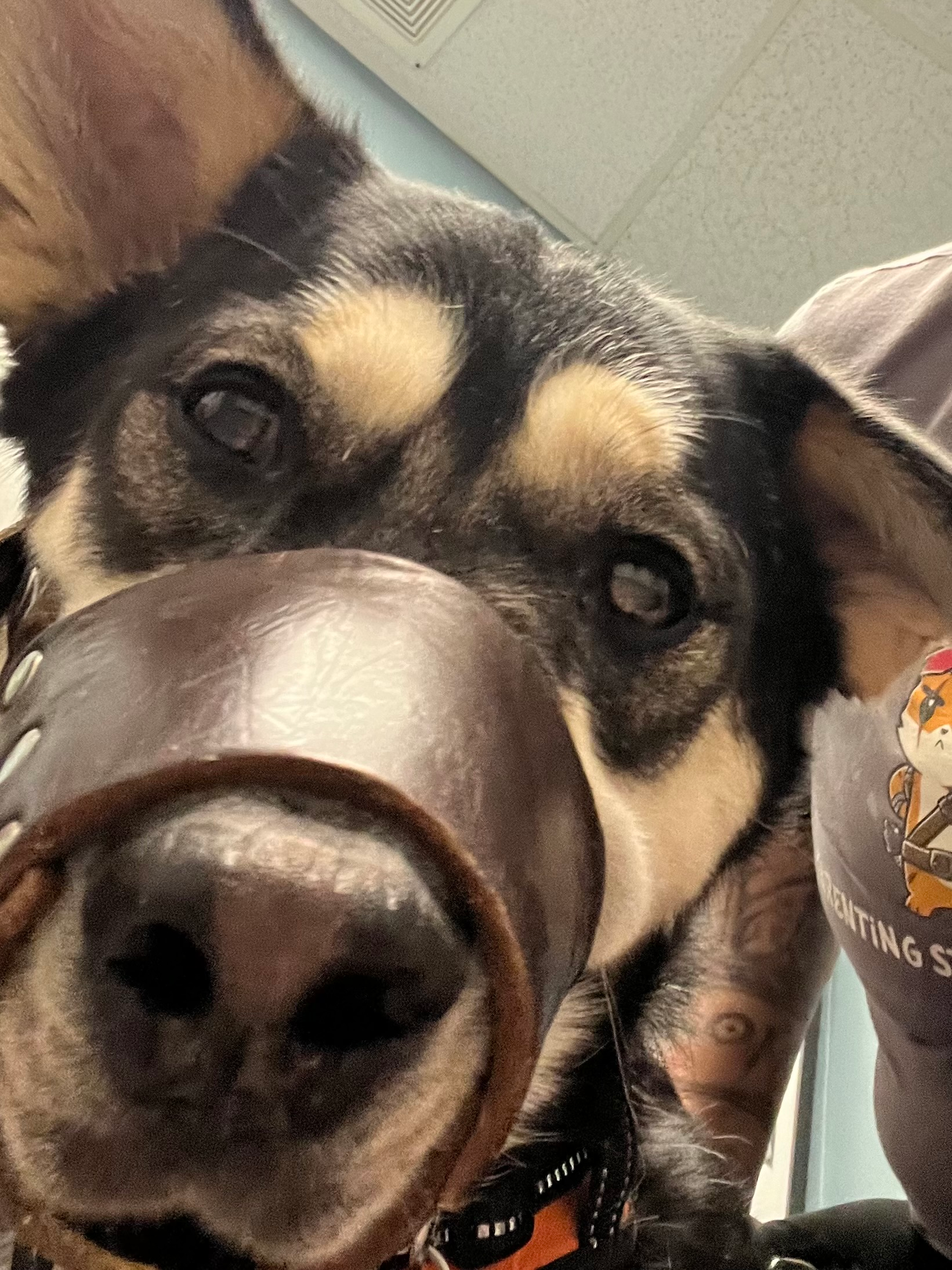 user avatar image for James Thompson 