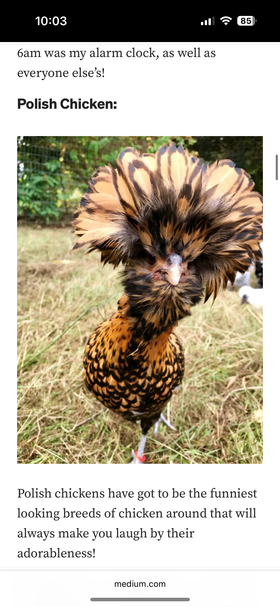 user avatar image for Scott Addison