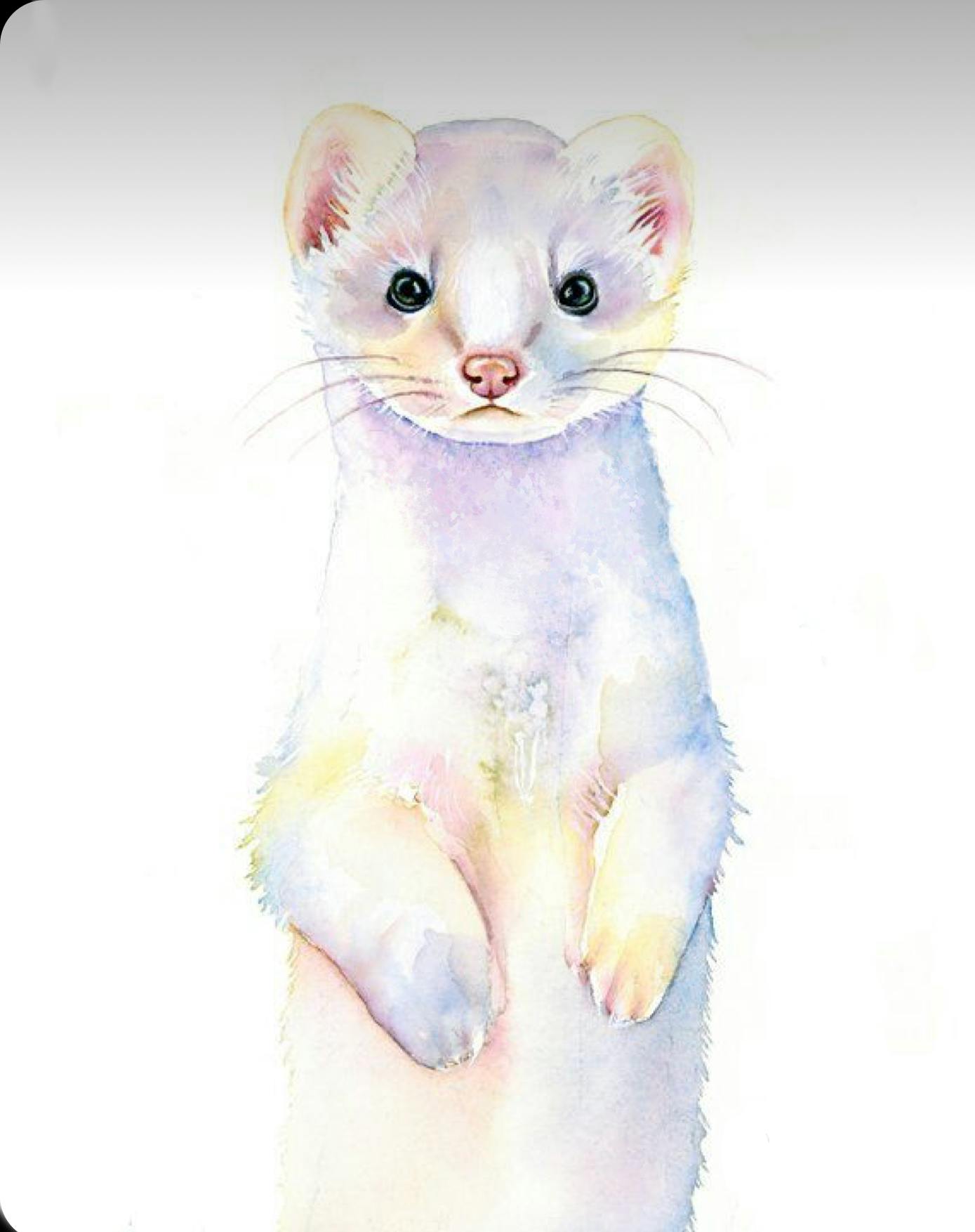 user avatar image for Derek Bryant