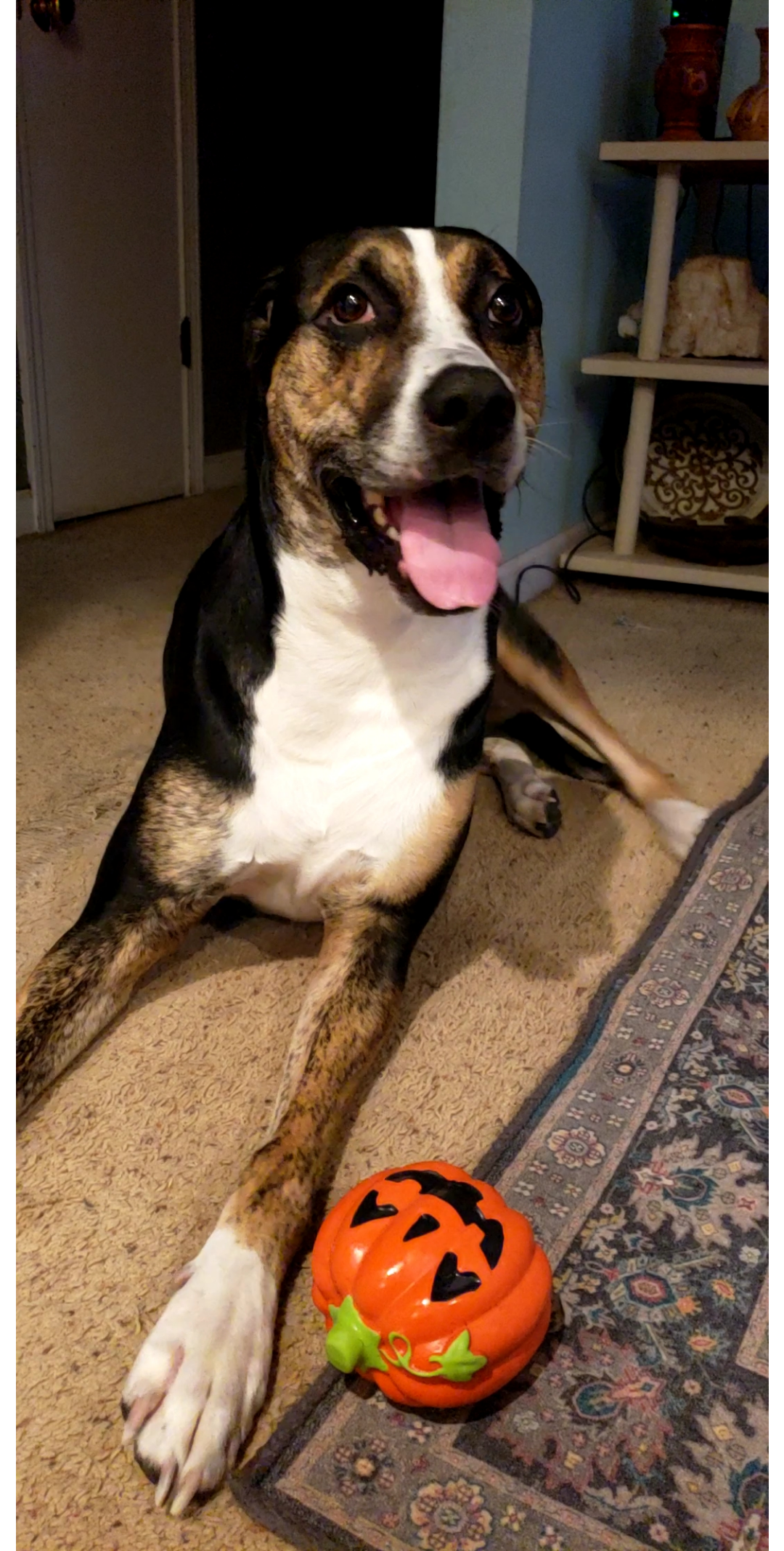 user avatar image for dancinfool830