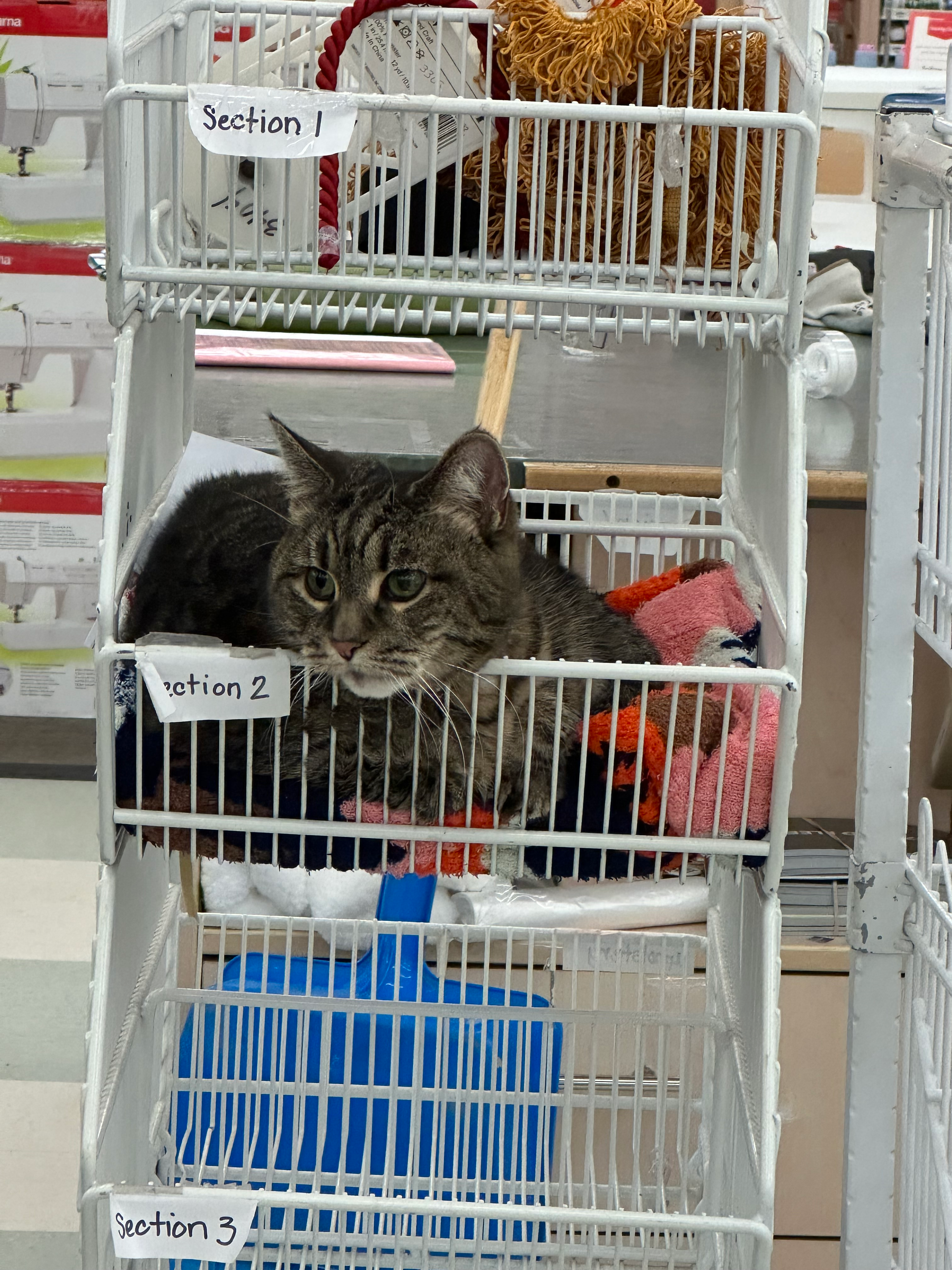 user avatar image for Isabell