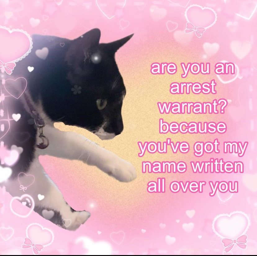 user avatar image for Kat