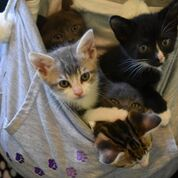 user avatar image for Jilly