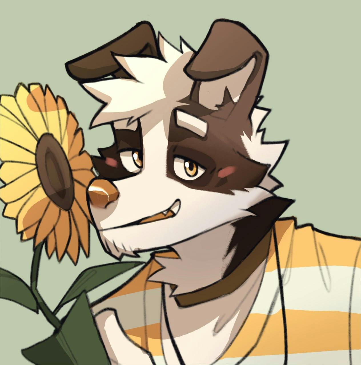 user avatar image for Tymko