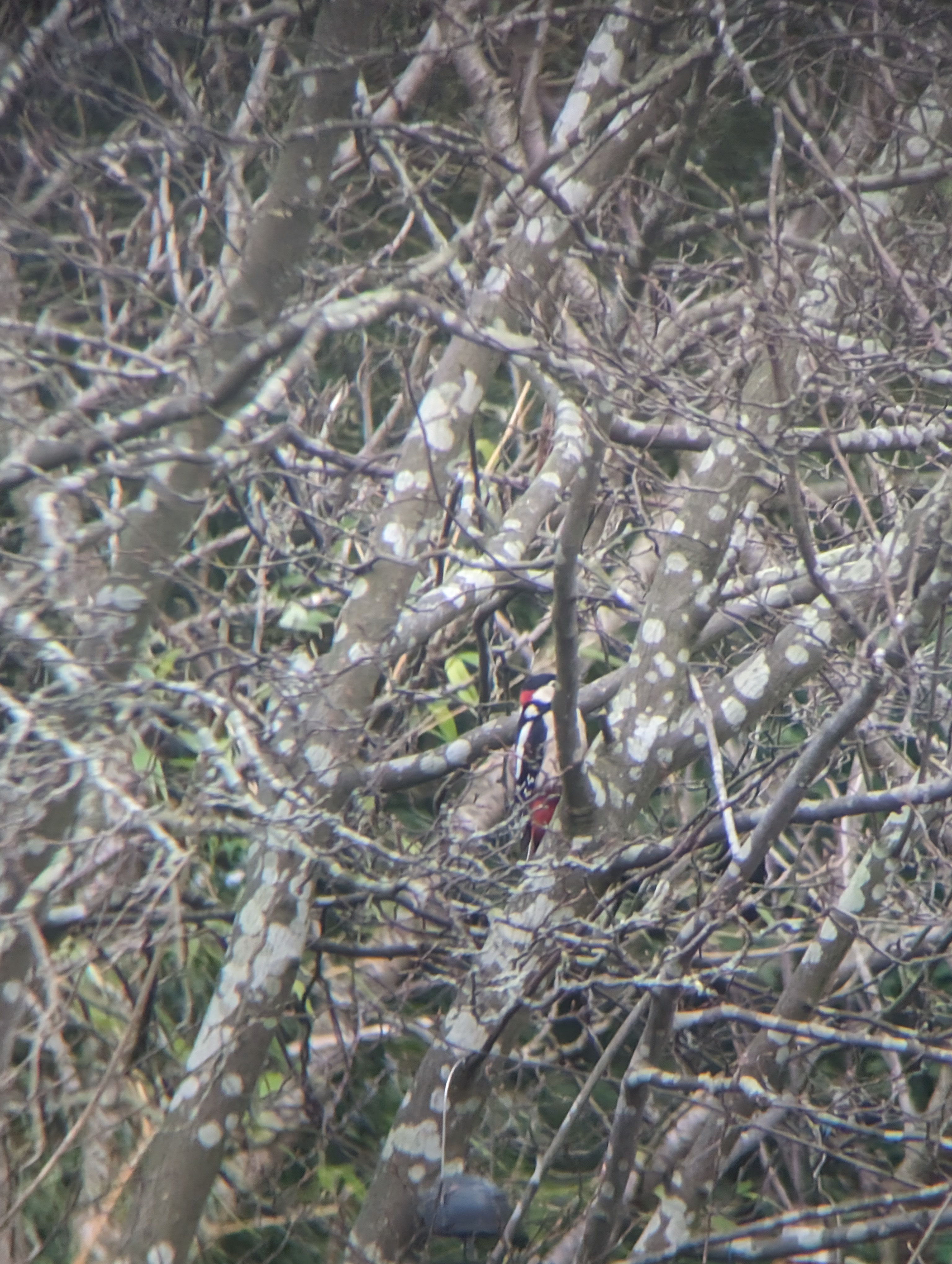 user avatar image for Daddy Ketchup