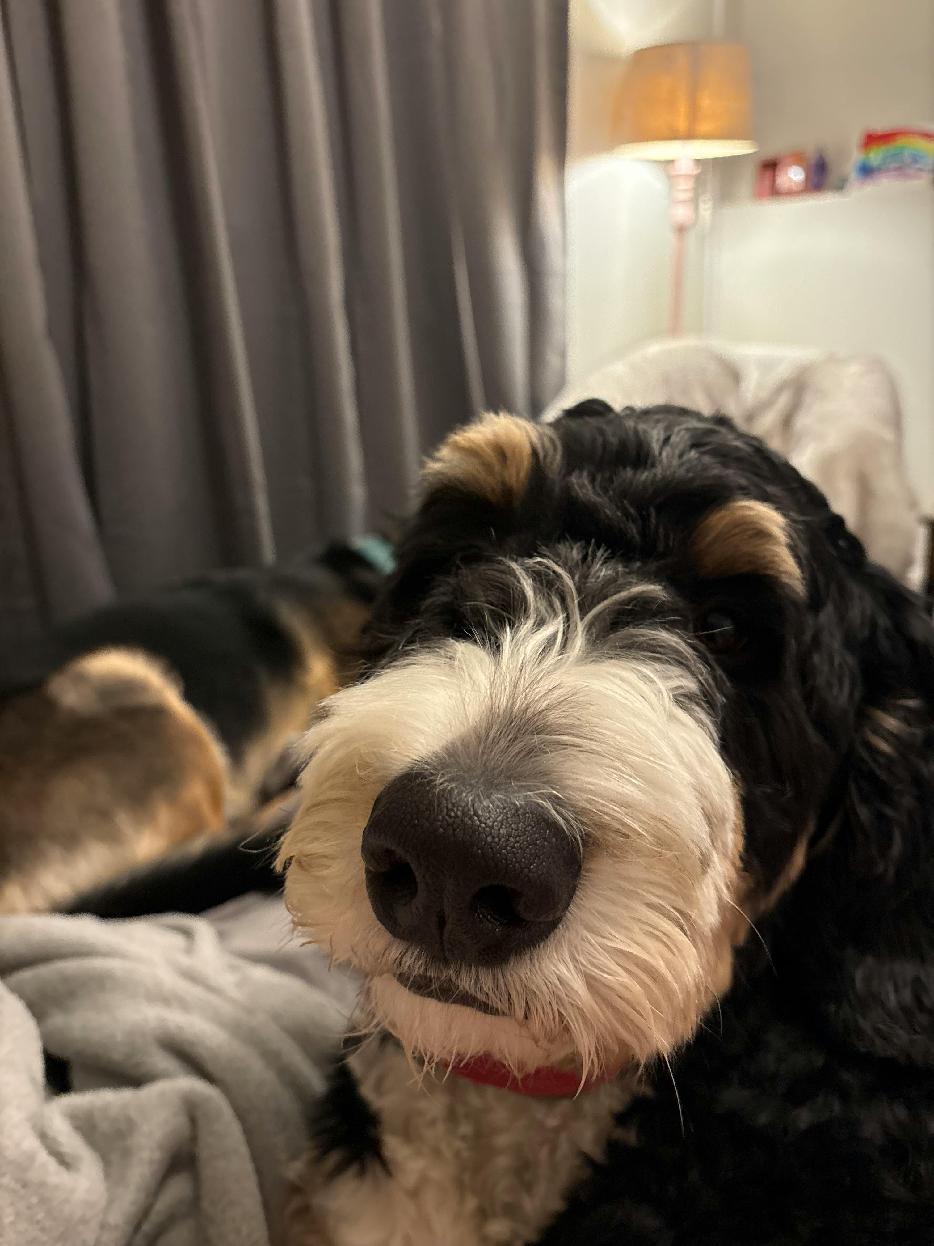 user avatar image for Jesse Tina Hull