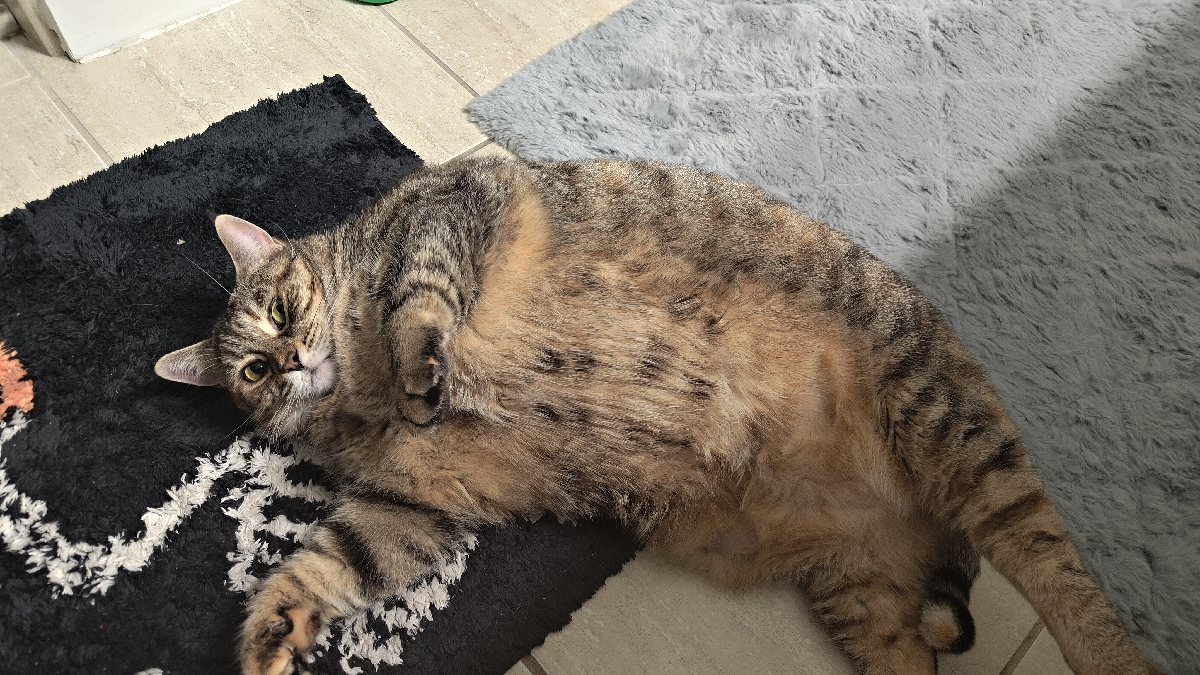 user avatar image for Chad McConnell