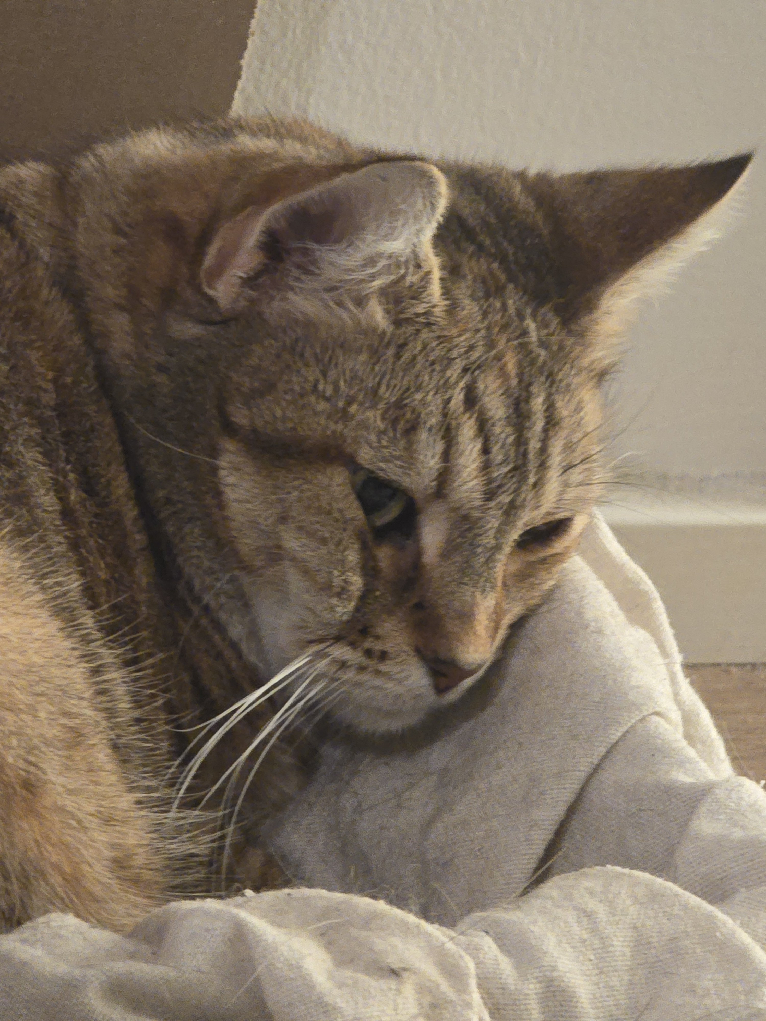 user avatar image for Adriana 