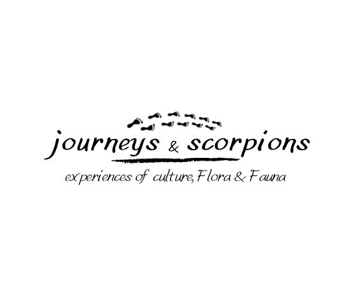 user avatar image for CoolWorld