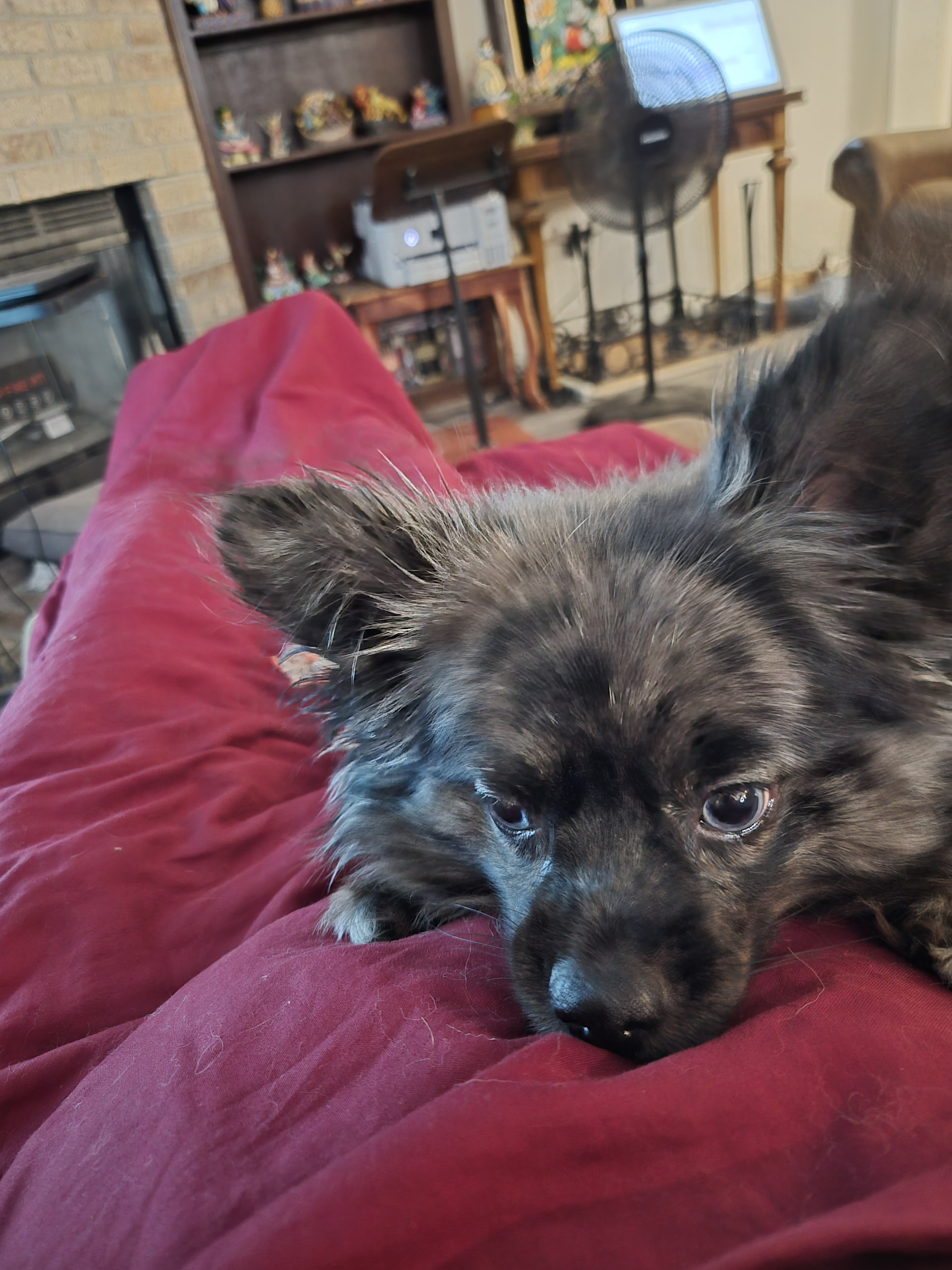 user avatar image for Colin Kovic