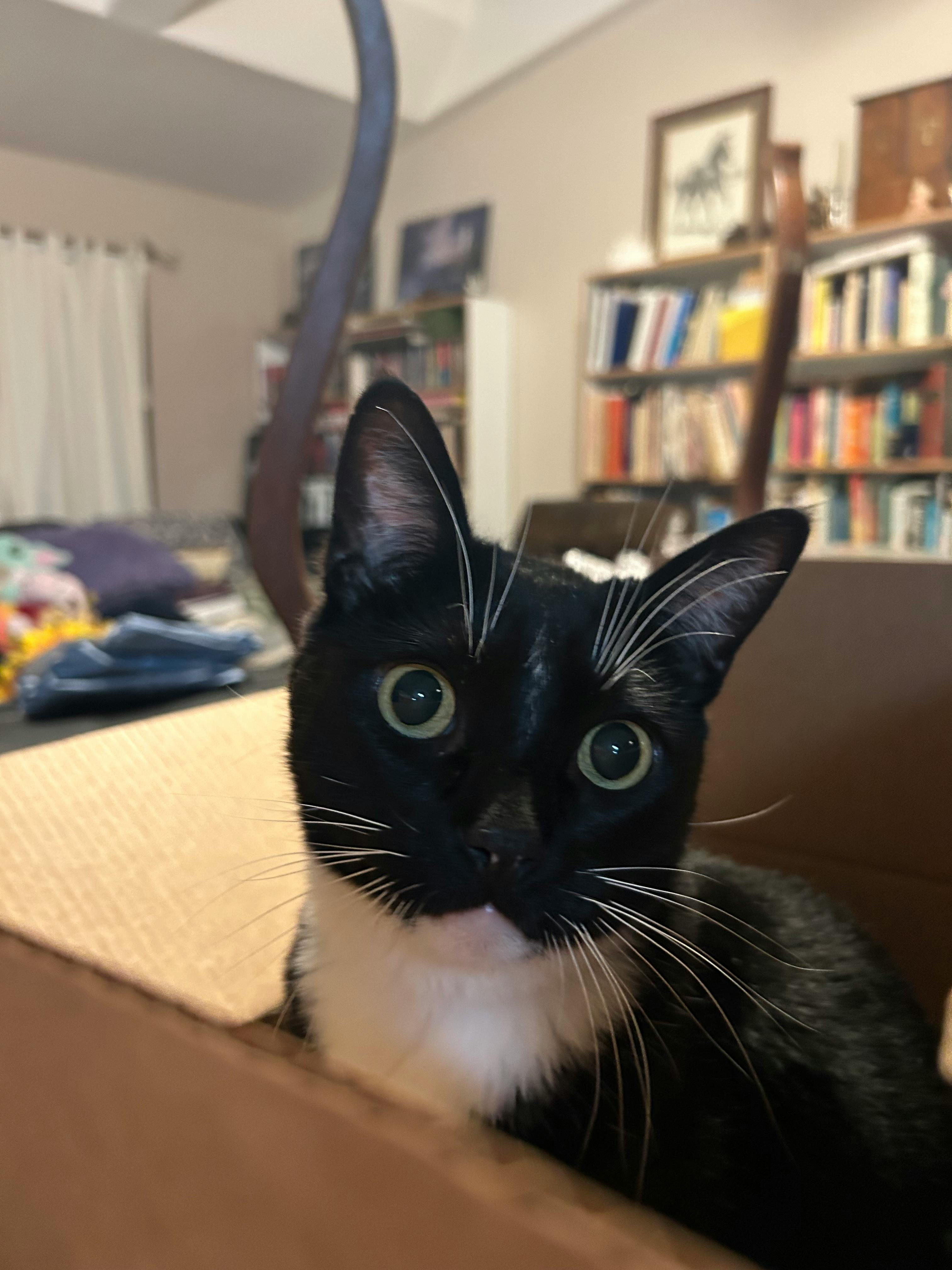 user avatar image for Michelle Jeanette Gibes