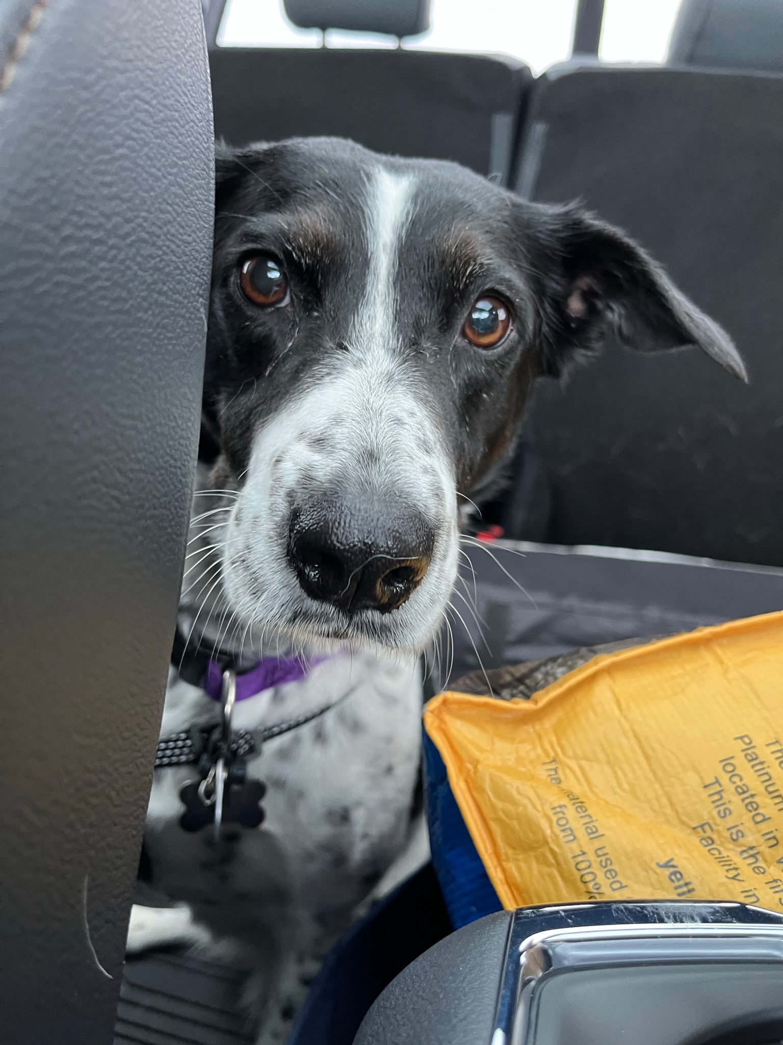 user avatar image for Christopher Child