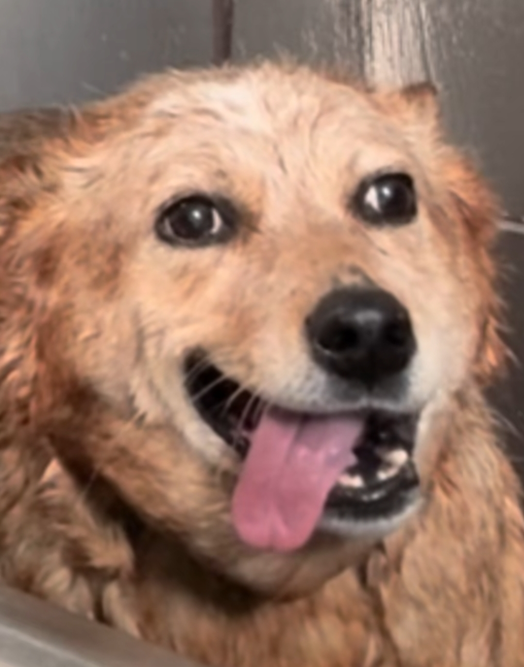 user avatar image for OneEighth