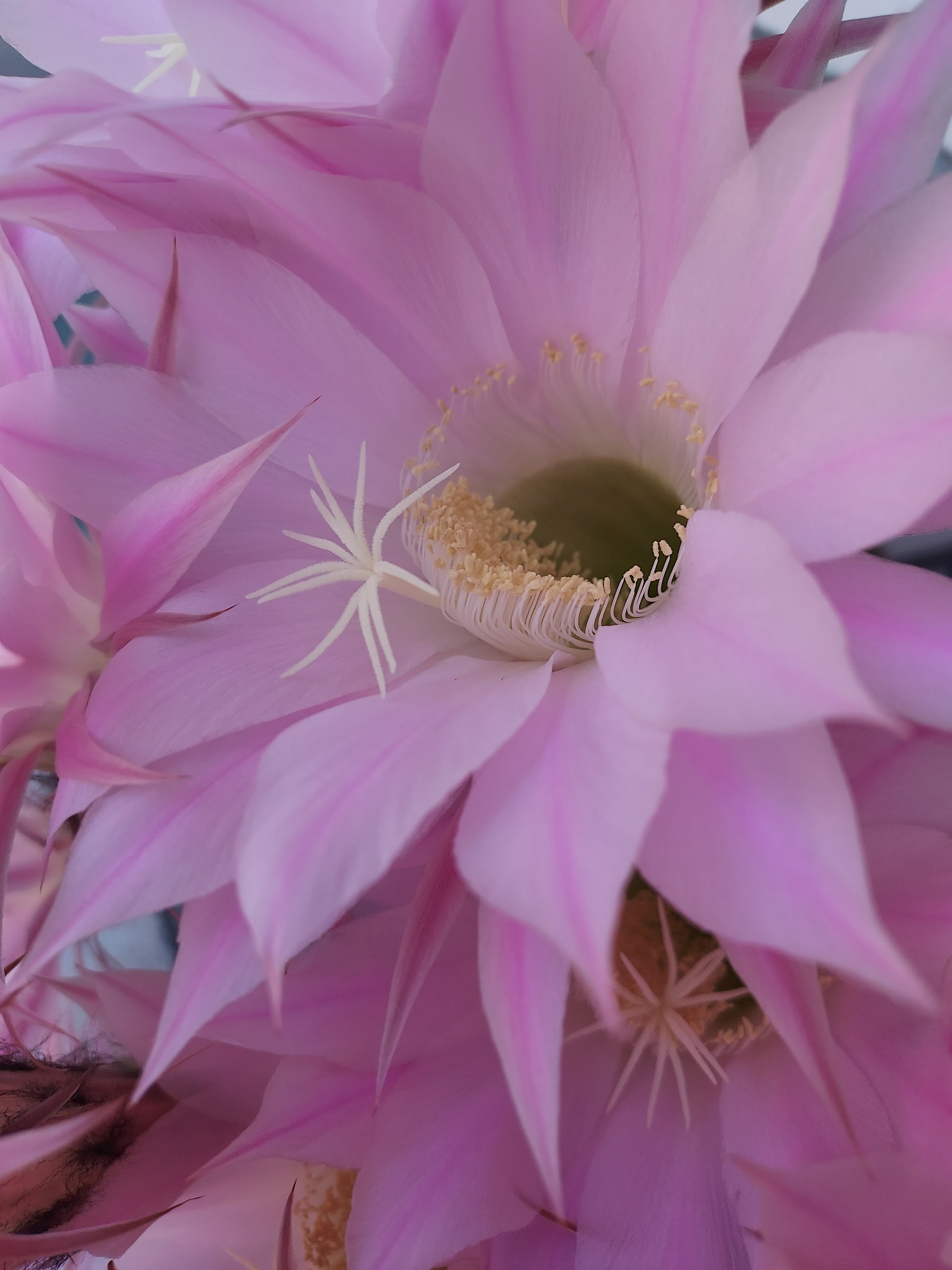 user avatar image for Nadal