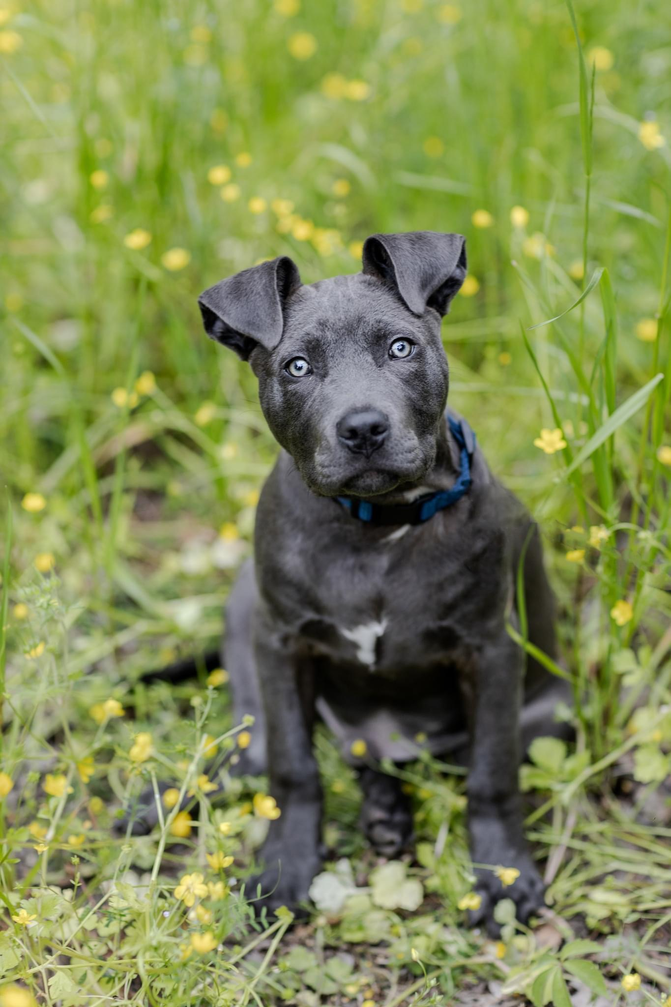 user avatar image for Chris Soucy