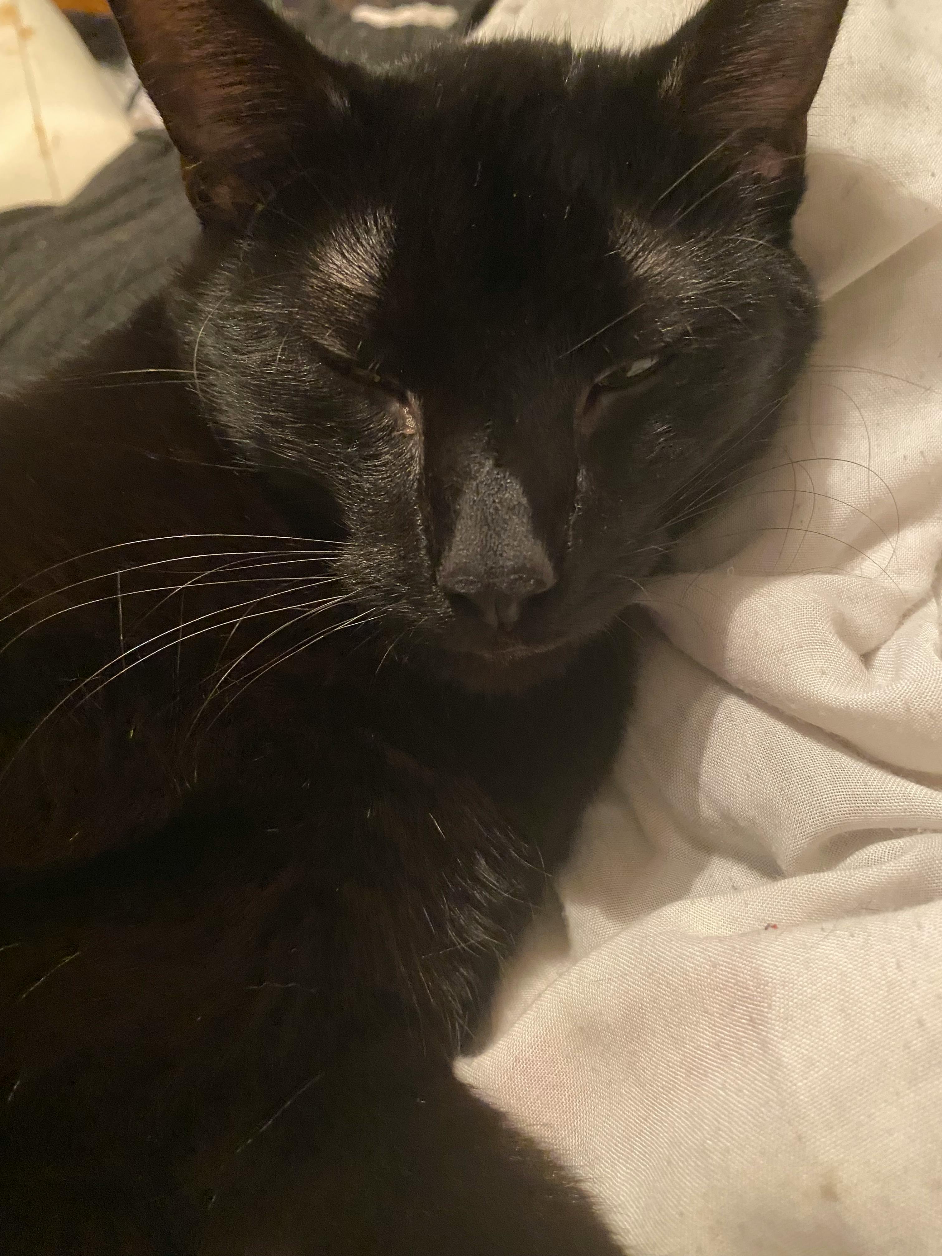 user avatar image for Kaira 