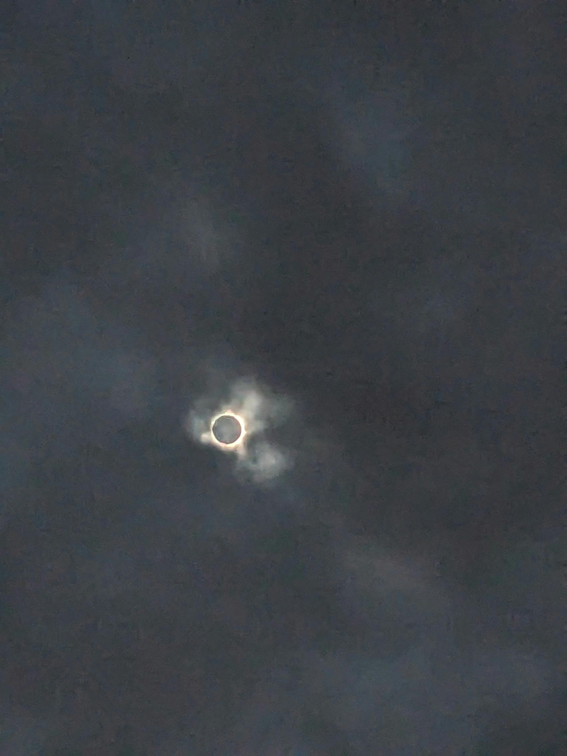 user avatar image for arlinebabka