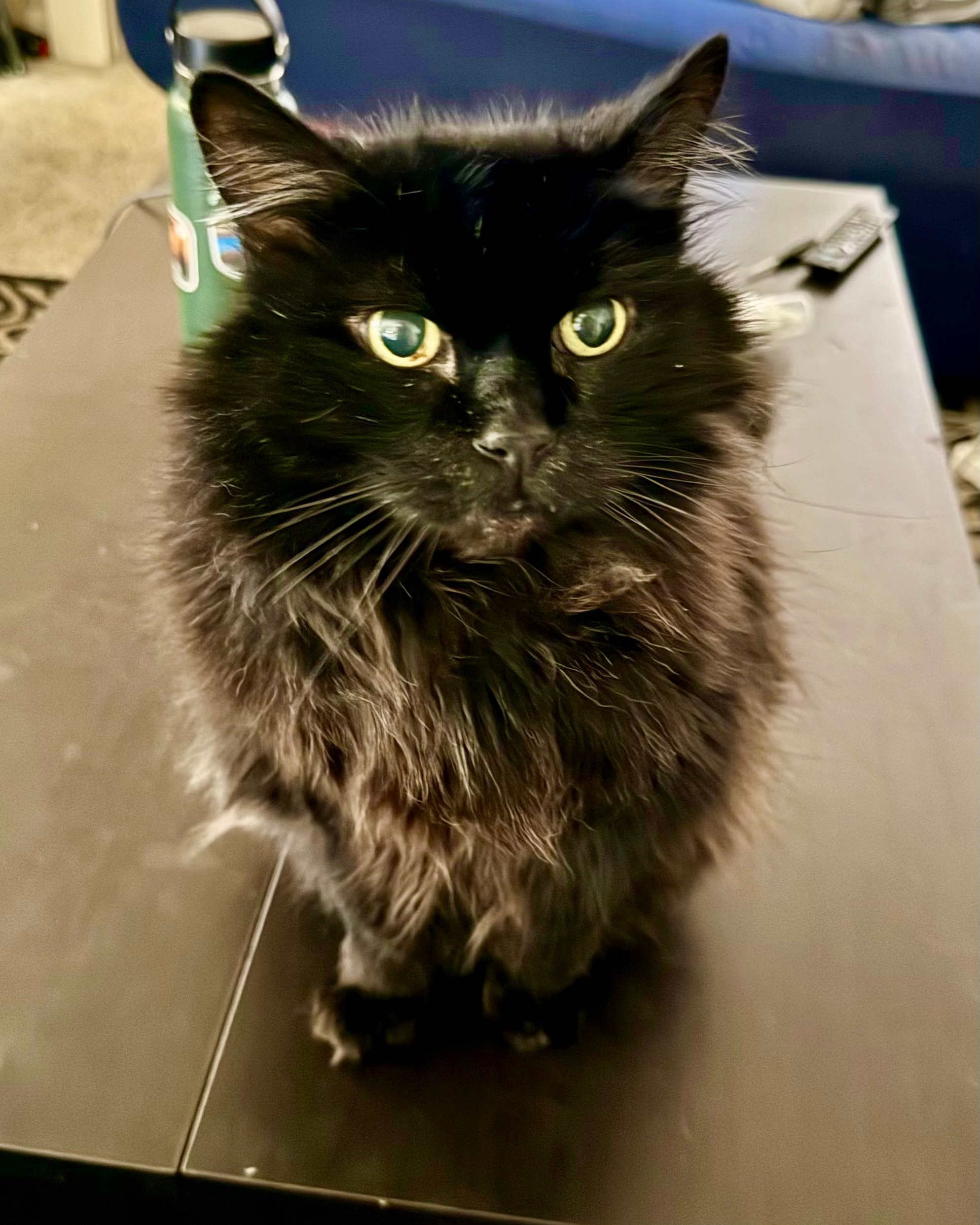 user avatar image for Tony Scott