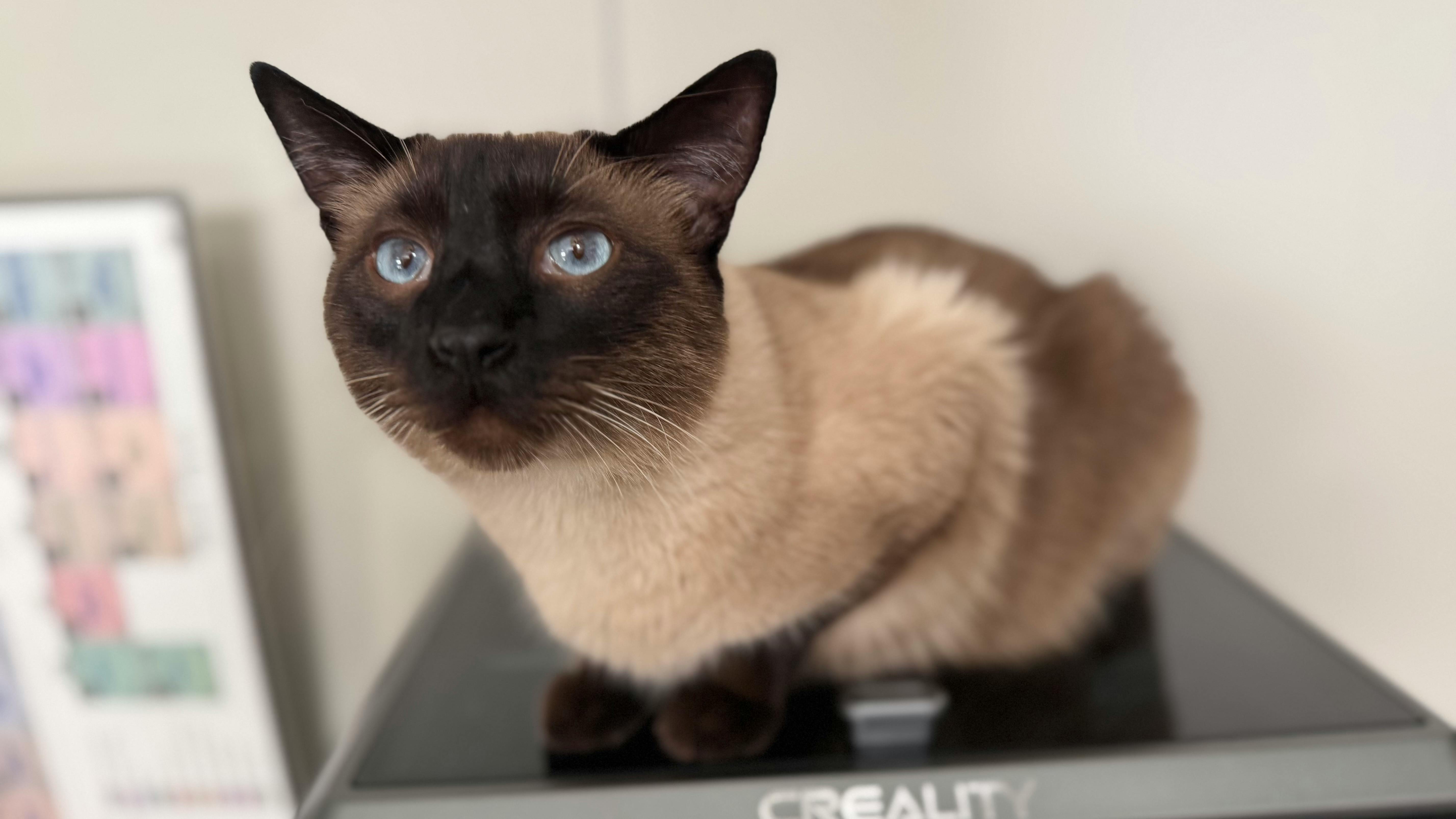 user avatar image for Ray Cole