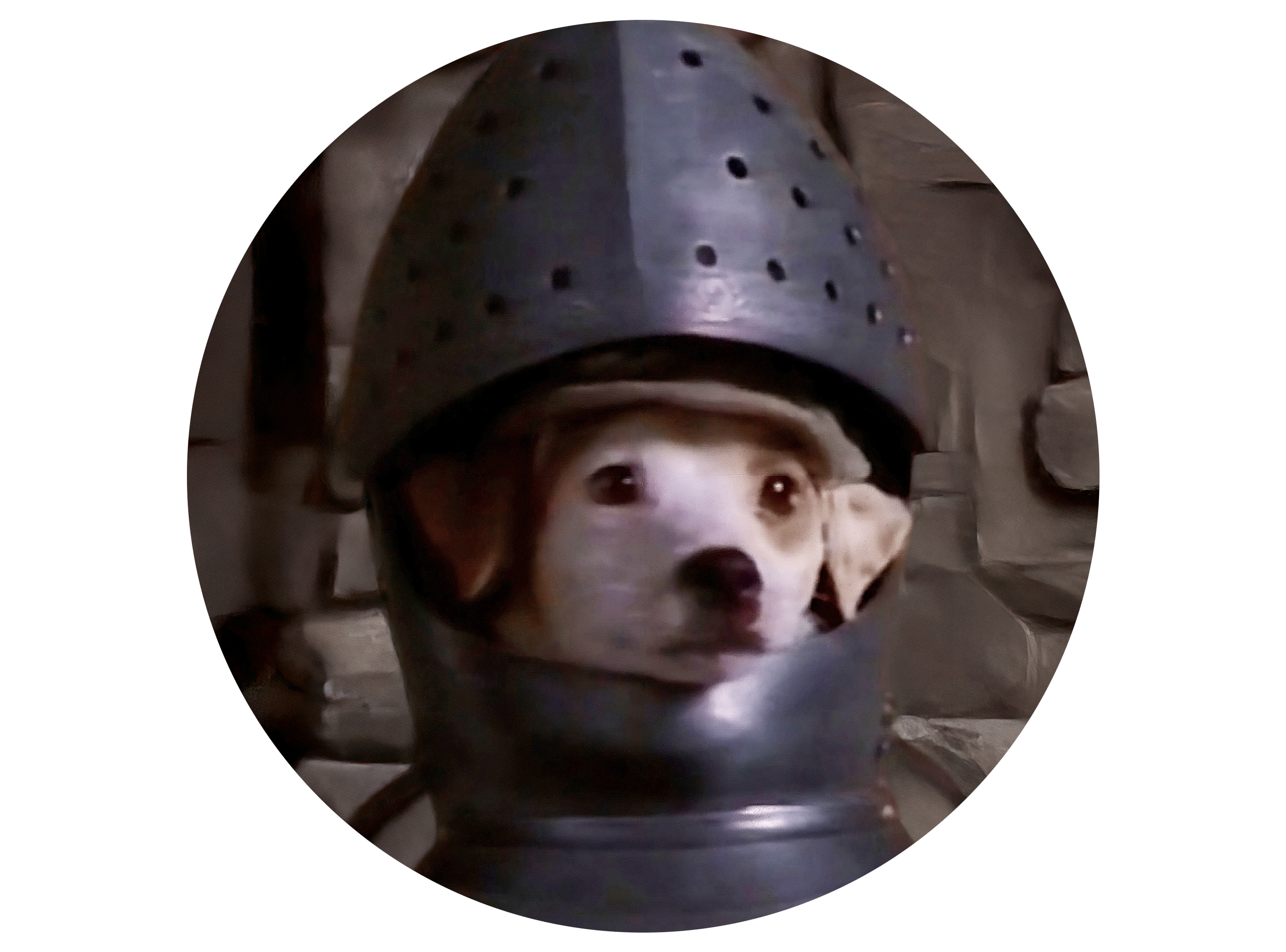 user avatar image for HungSquire