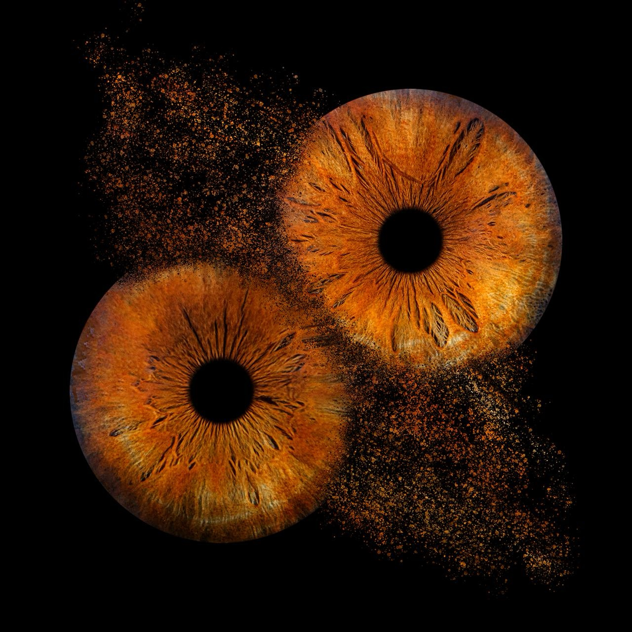 user avatar image for Redd