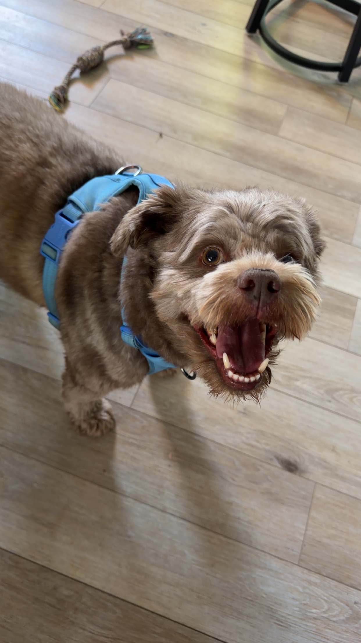 user avatar image for Casey