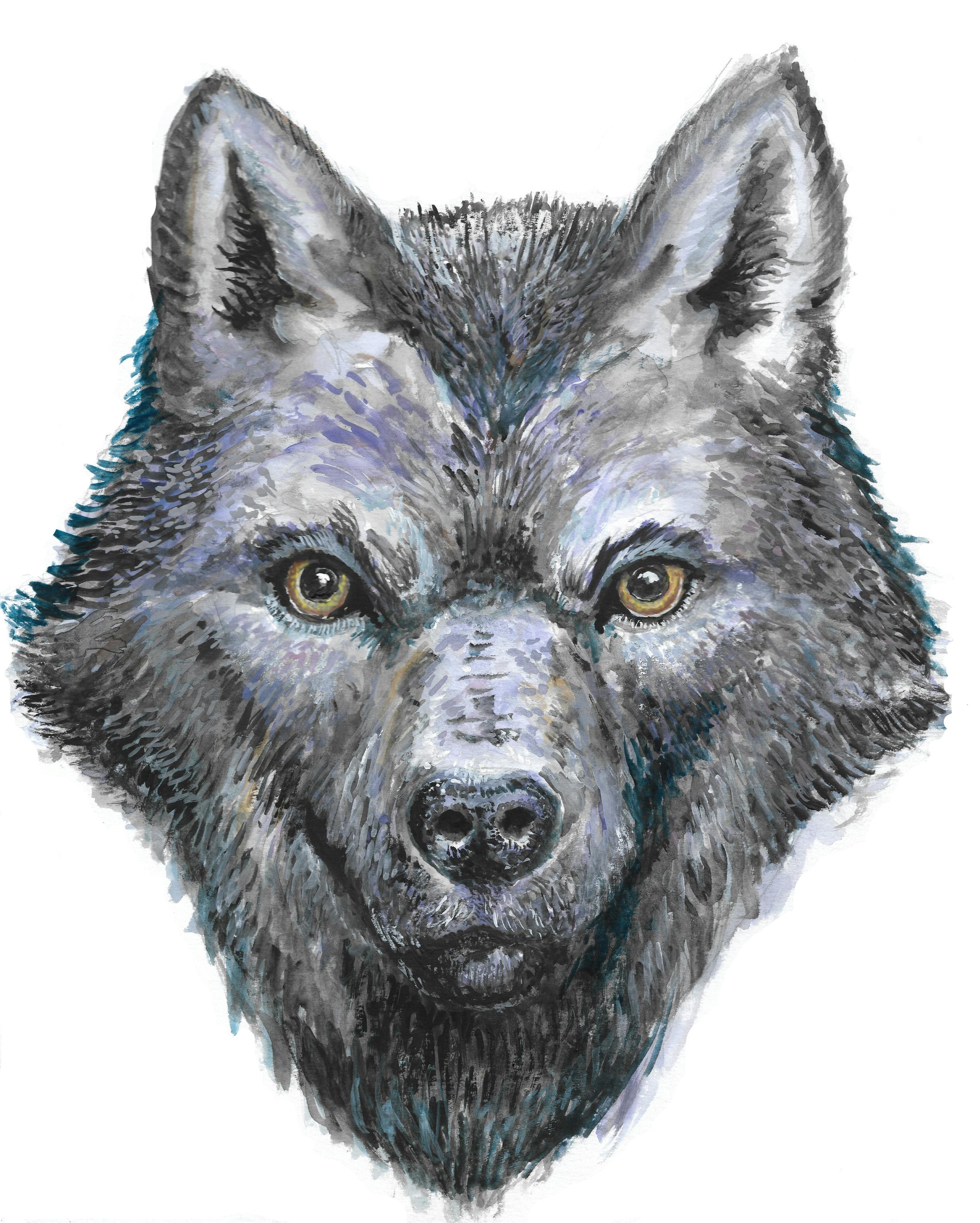 user avatar image for Ali Poole