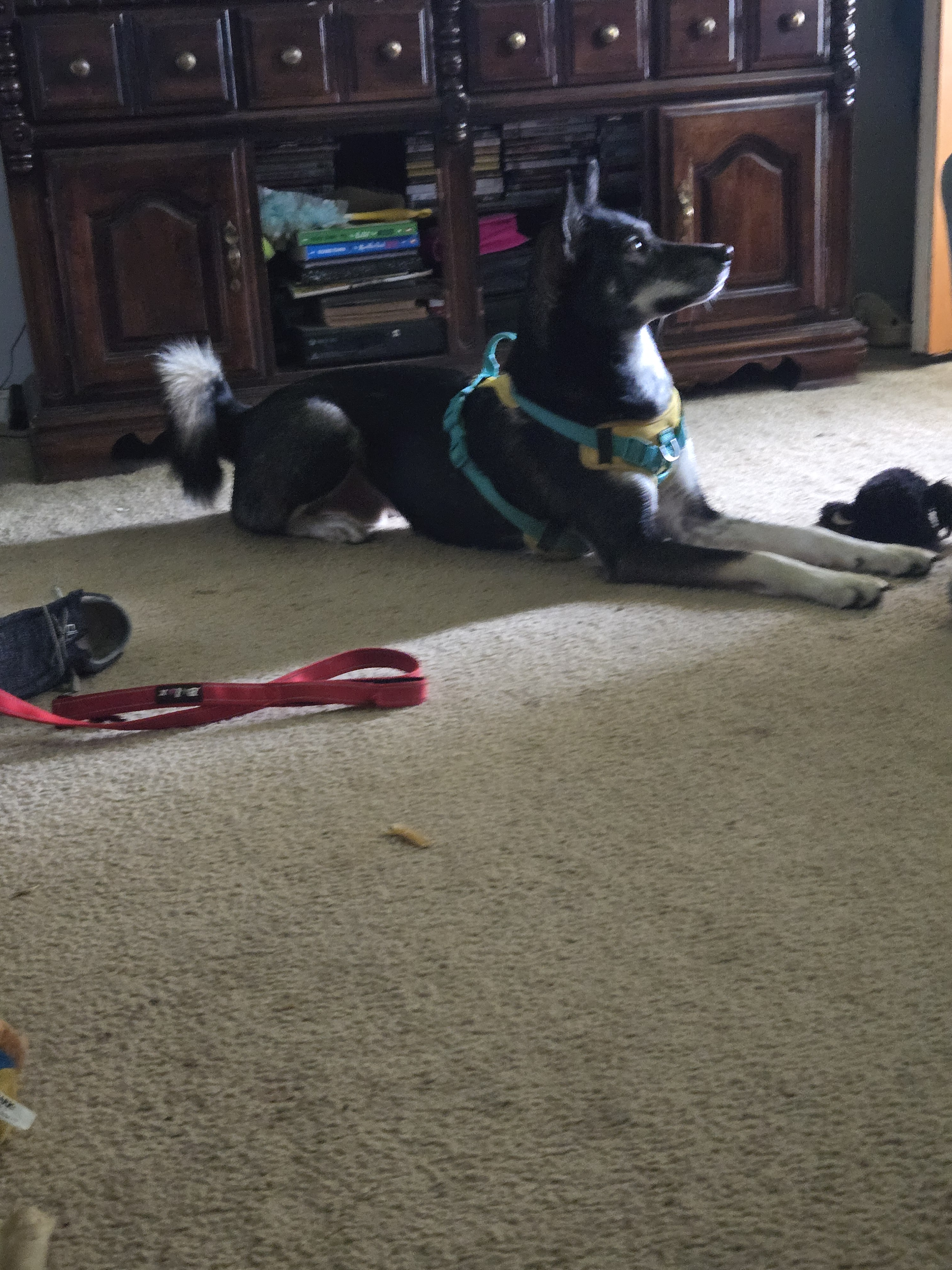 user avatar image for Bree hull