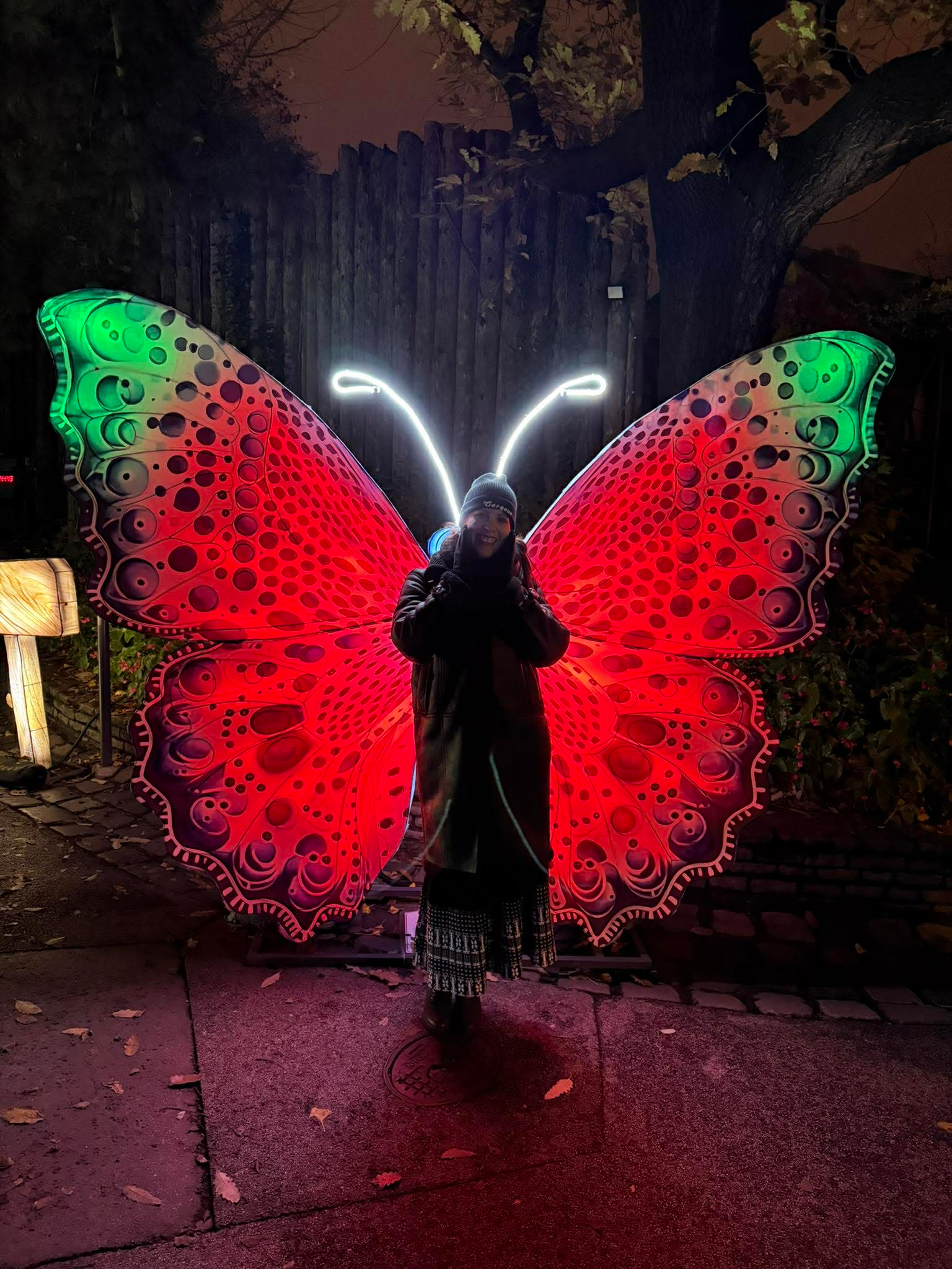 user avatar image for Shemayet