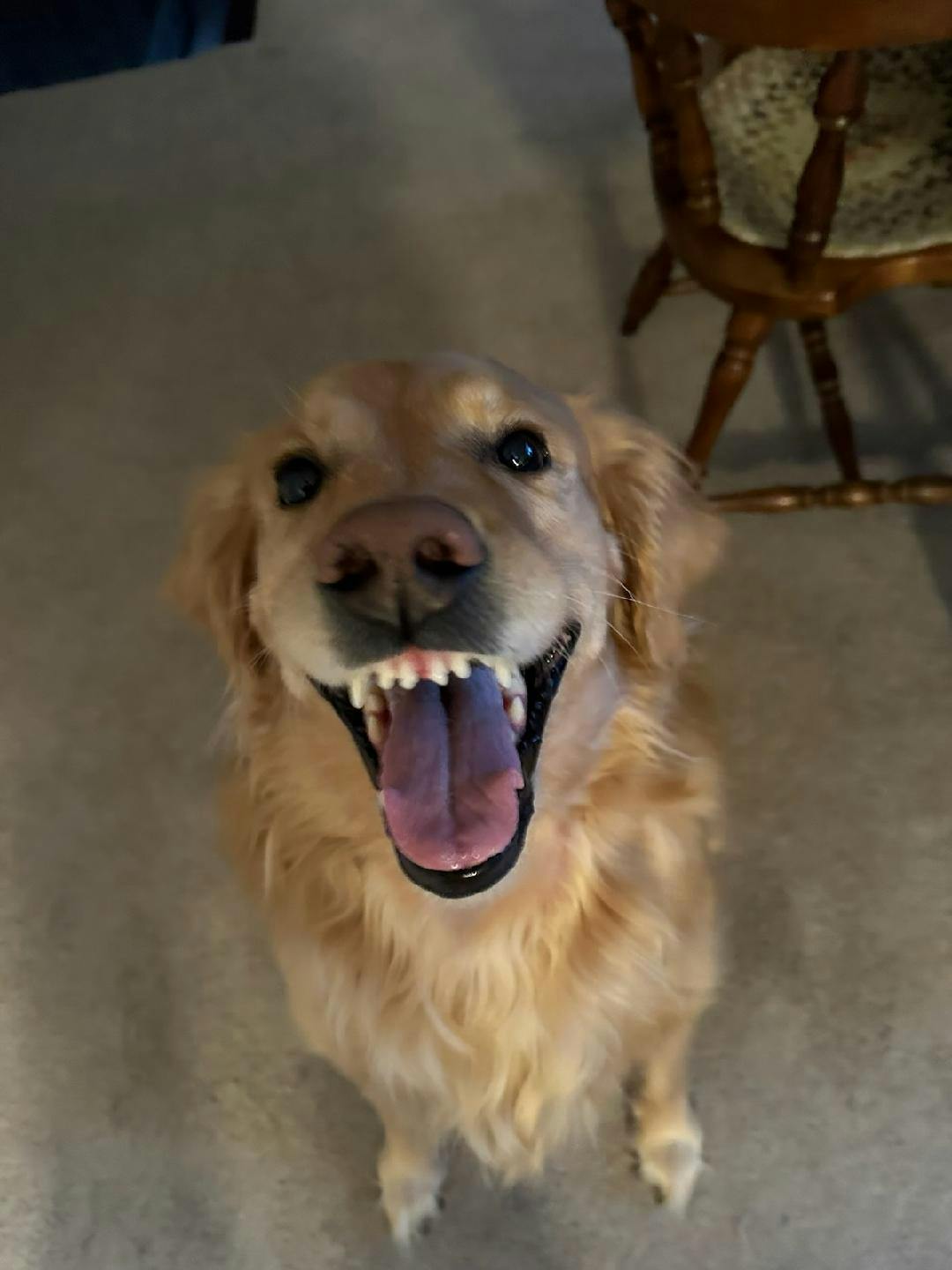 user avatar image for Shawn Sibit