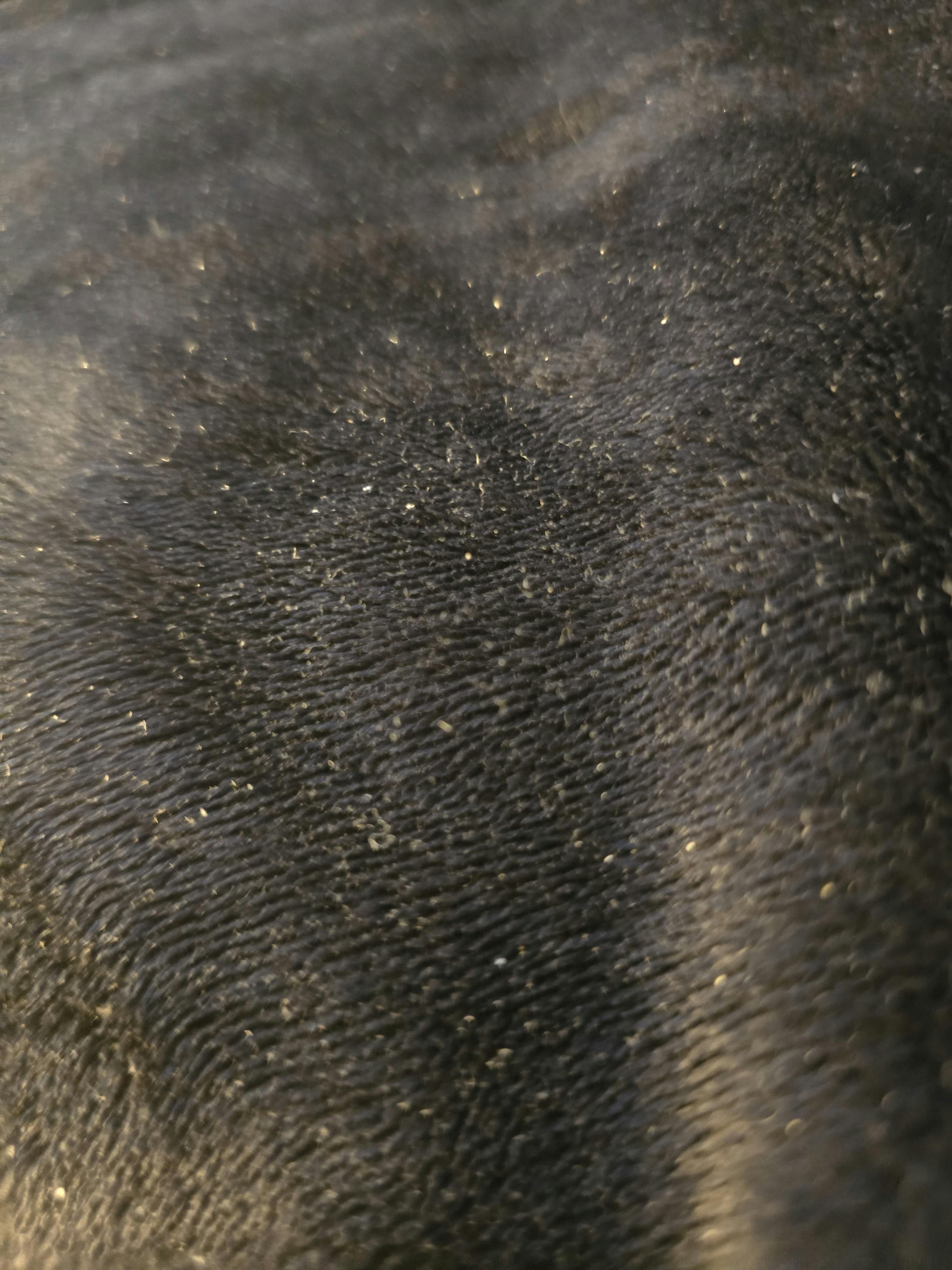 user avatar image for Oddlogical