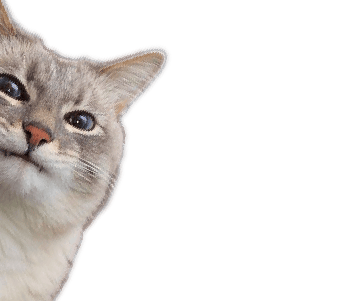 user avatar image for Jeff R