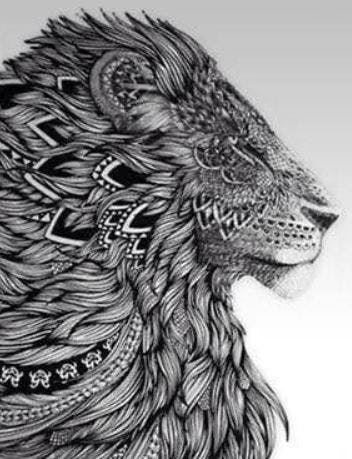 user avatar image for Danny J Zirkle