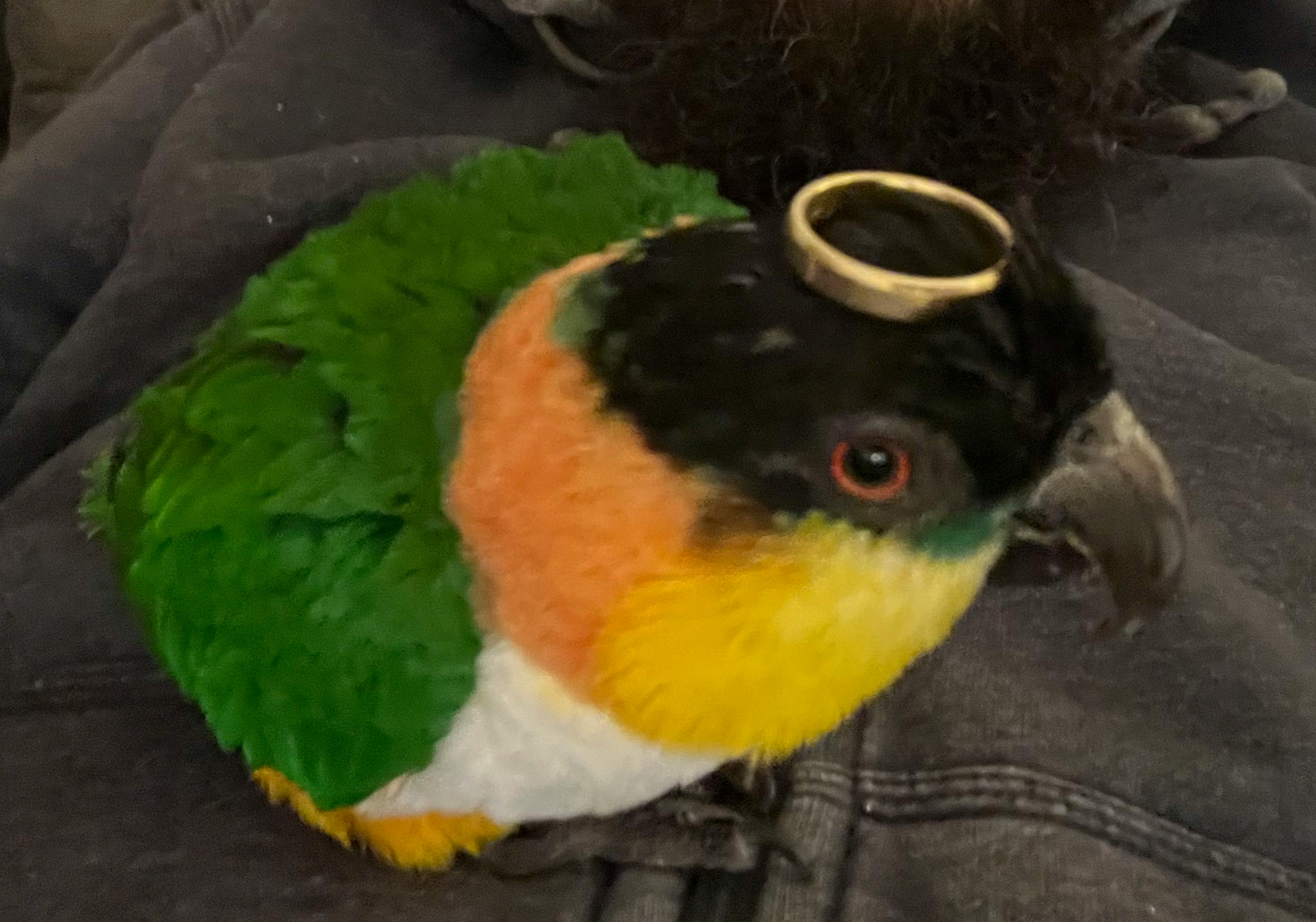 user avatar image for Taylor