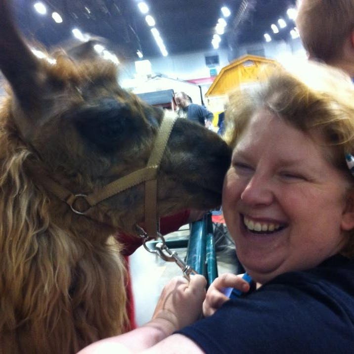 user avatar image for Sasha