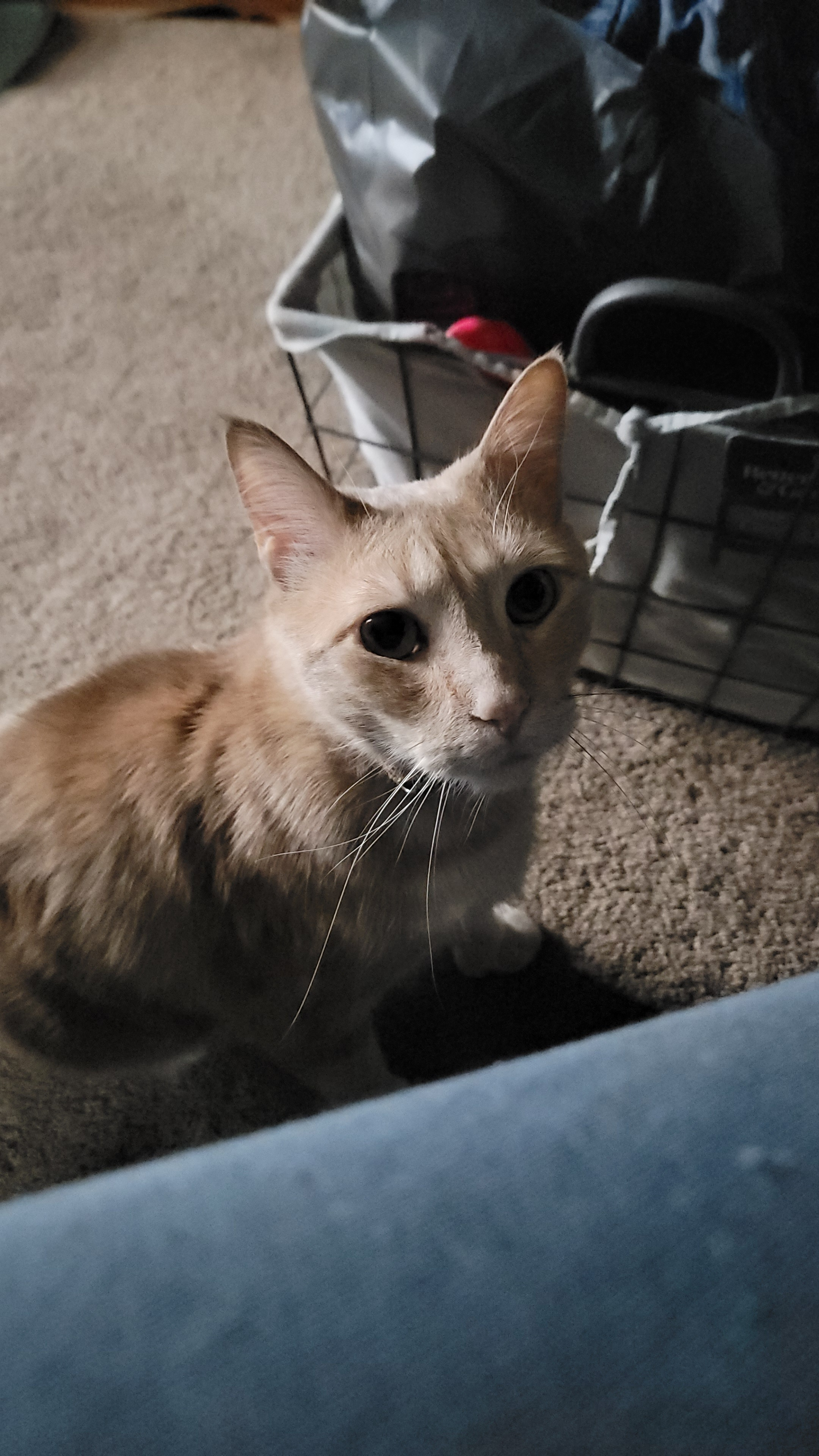 user avatar image for Mya Riddle 