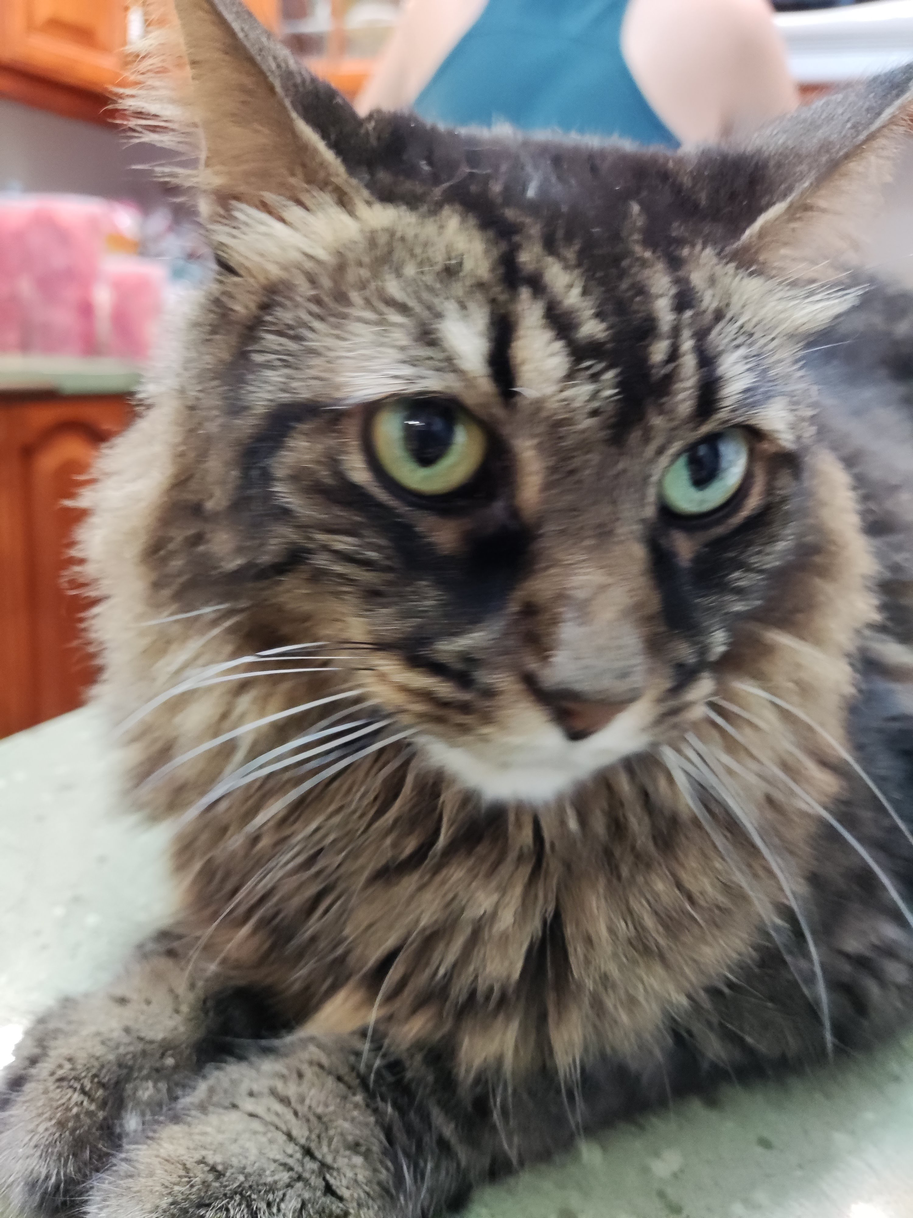 user avatar image for ajdio