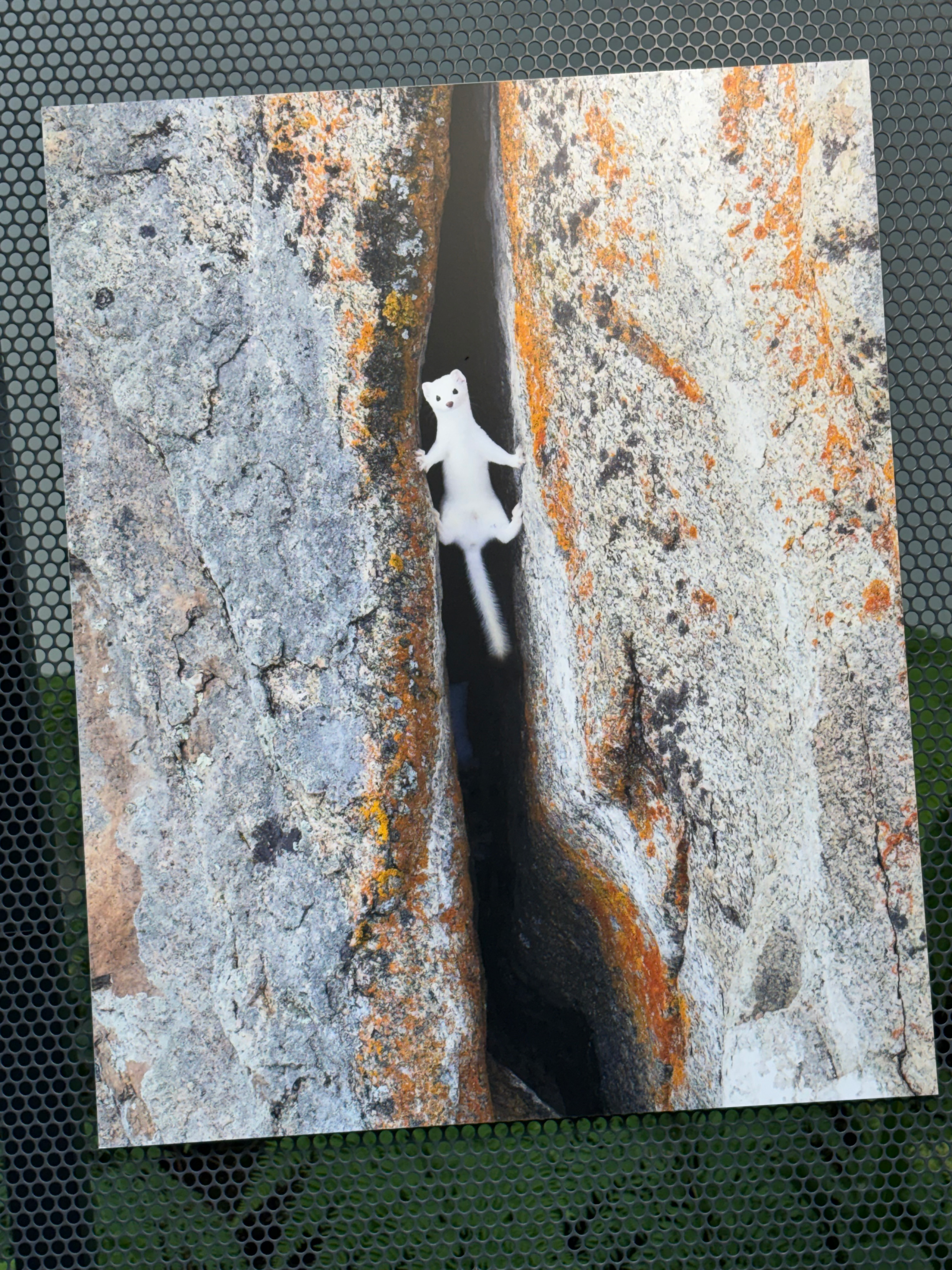 user avatar image for Dean Thomas-Woods