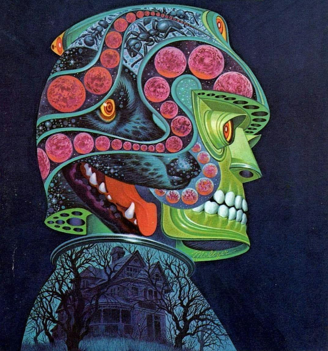 user avatar image for WeaponizedFunk