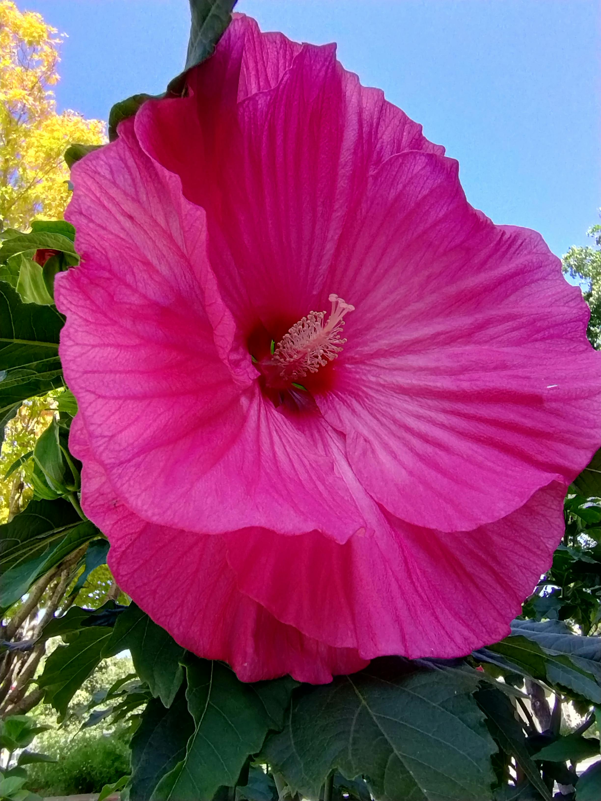 user avatar image for Marié Thérèse 