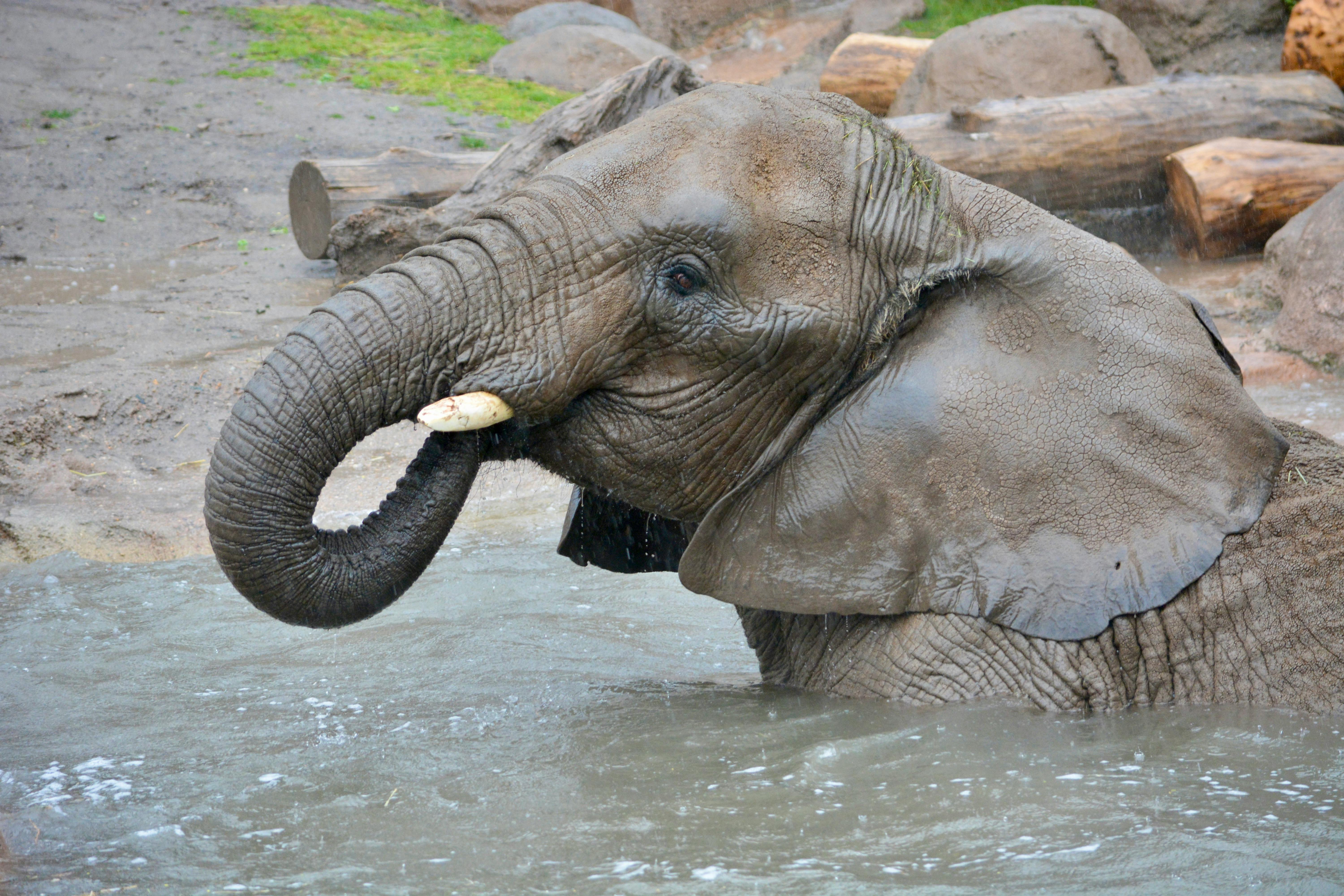 user avatar image for Angela 