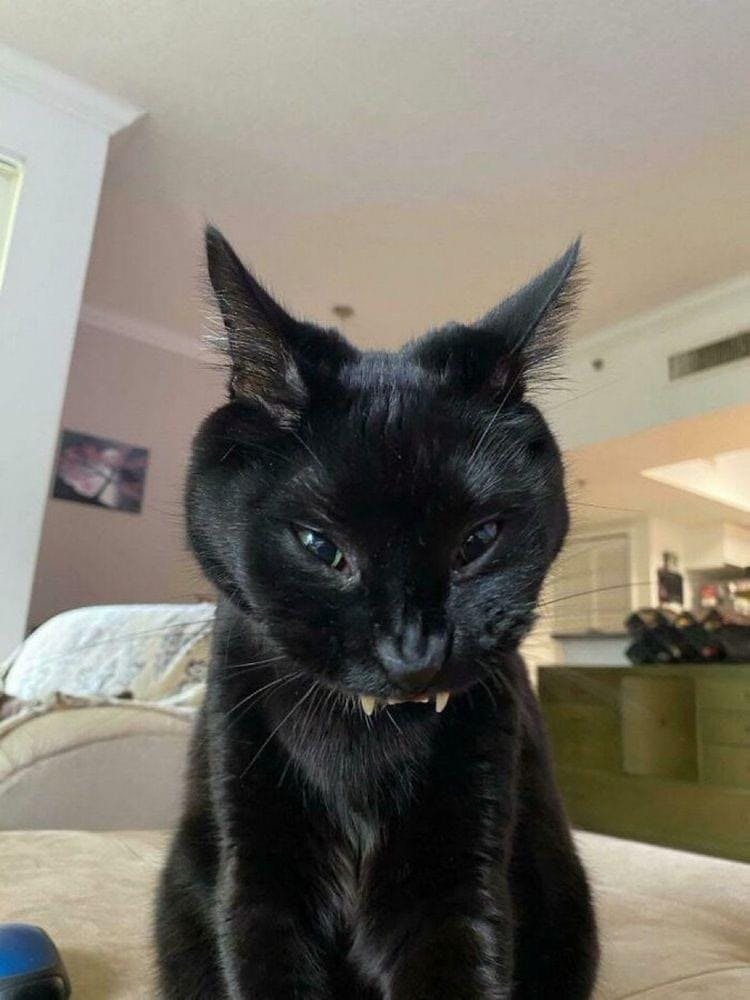 user avatar image for Kwyersong