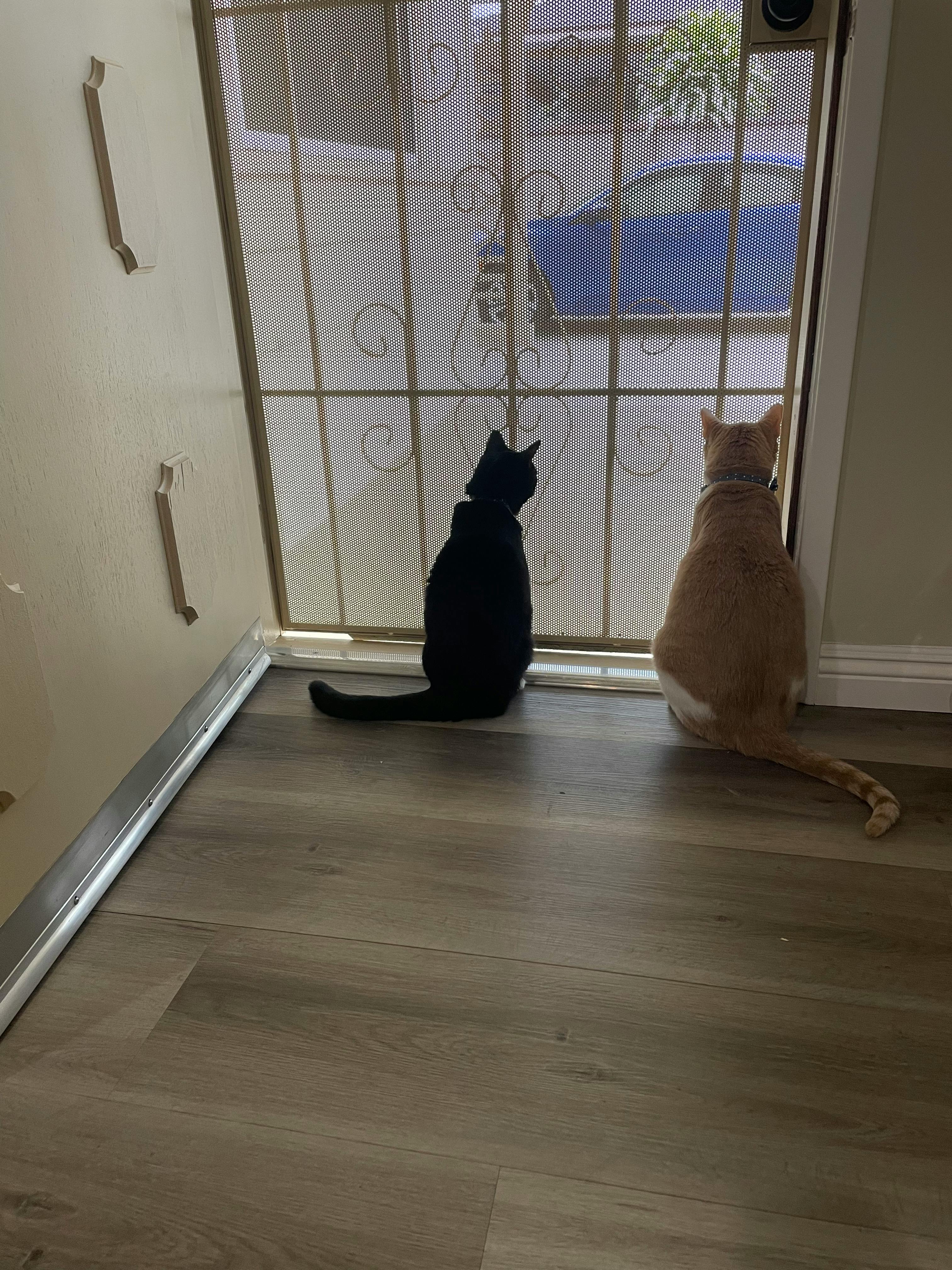 user avatar image for Lindsey B.